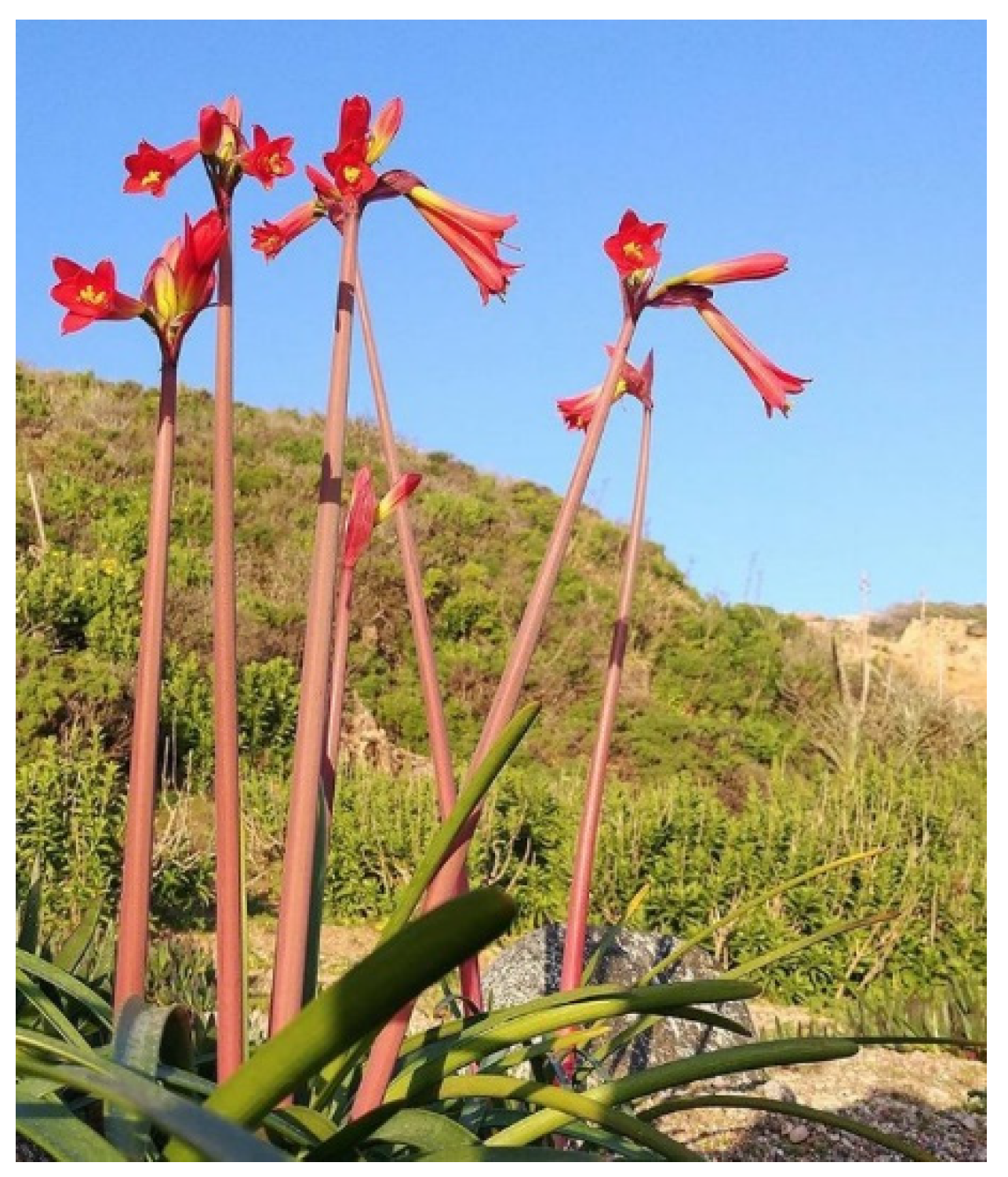 Metabolites 12 00188 g001