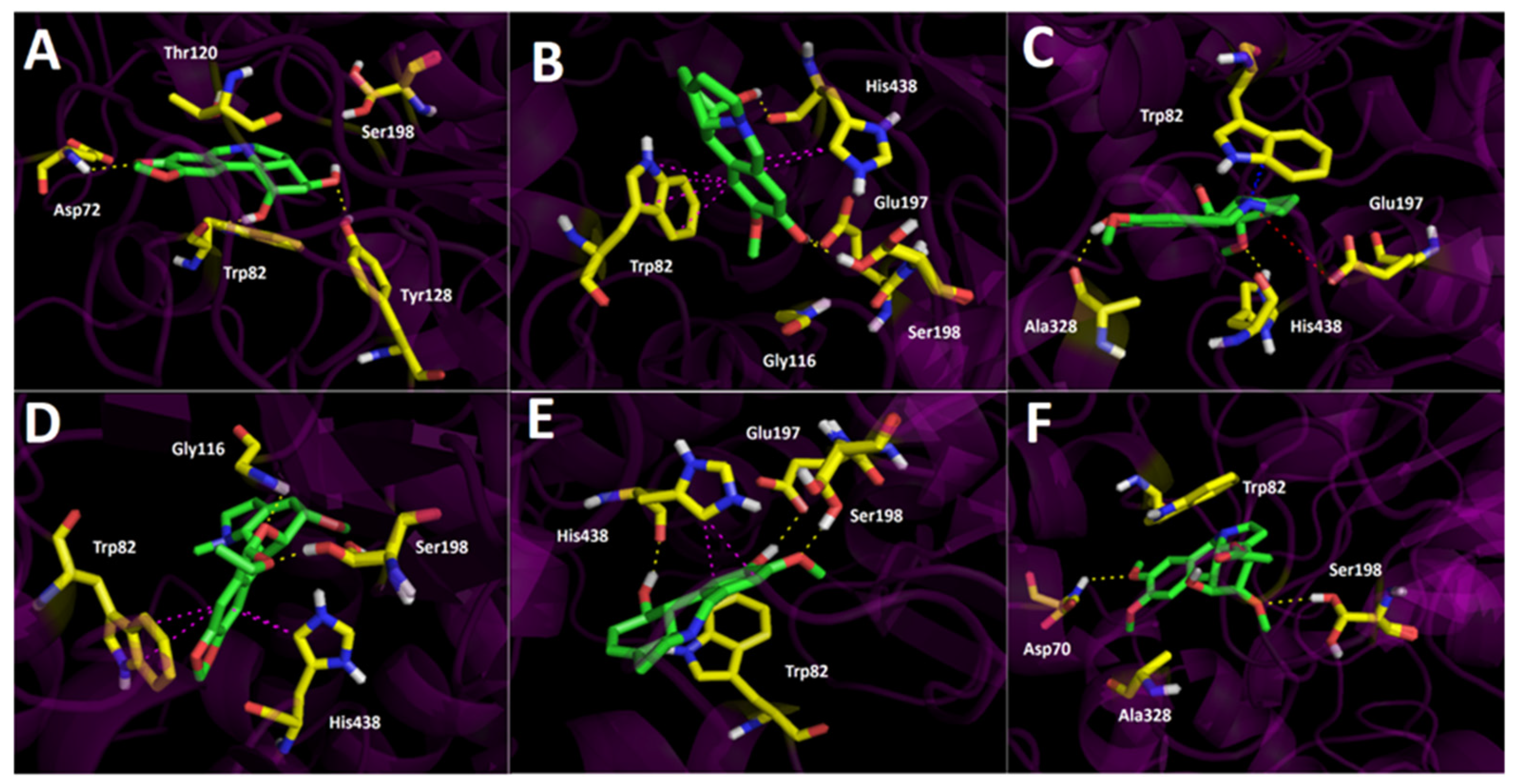 Metabolites 12 00188 g005
