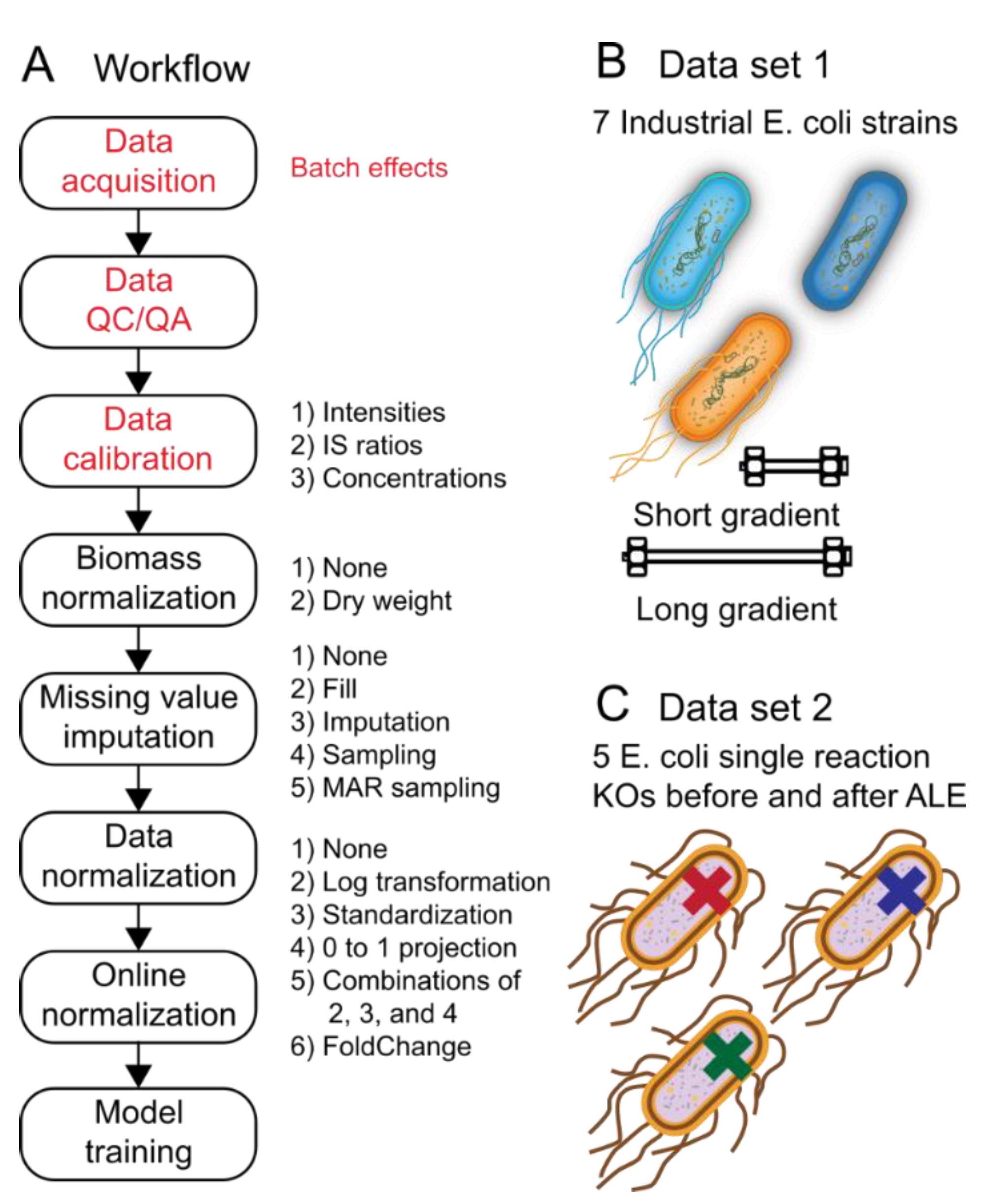 Metabolites 12 00202 g001