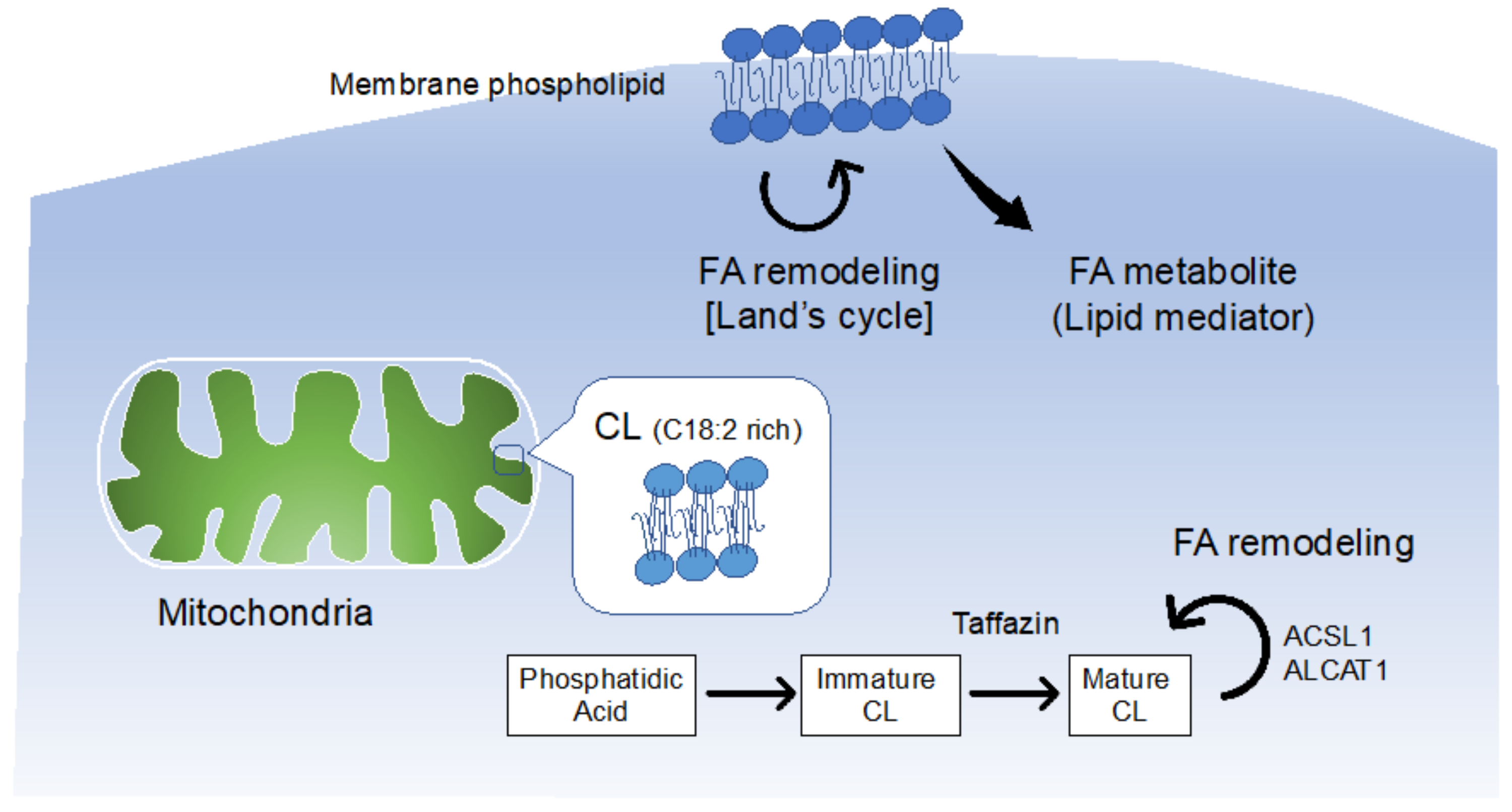 Metabolites 12 00210 g002 Metabolites 12 00210 g002