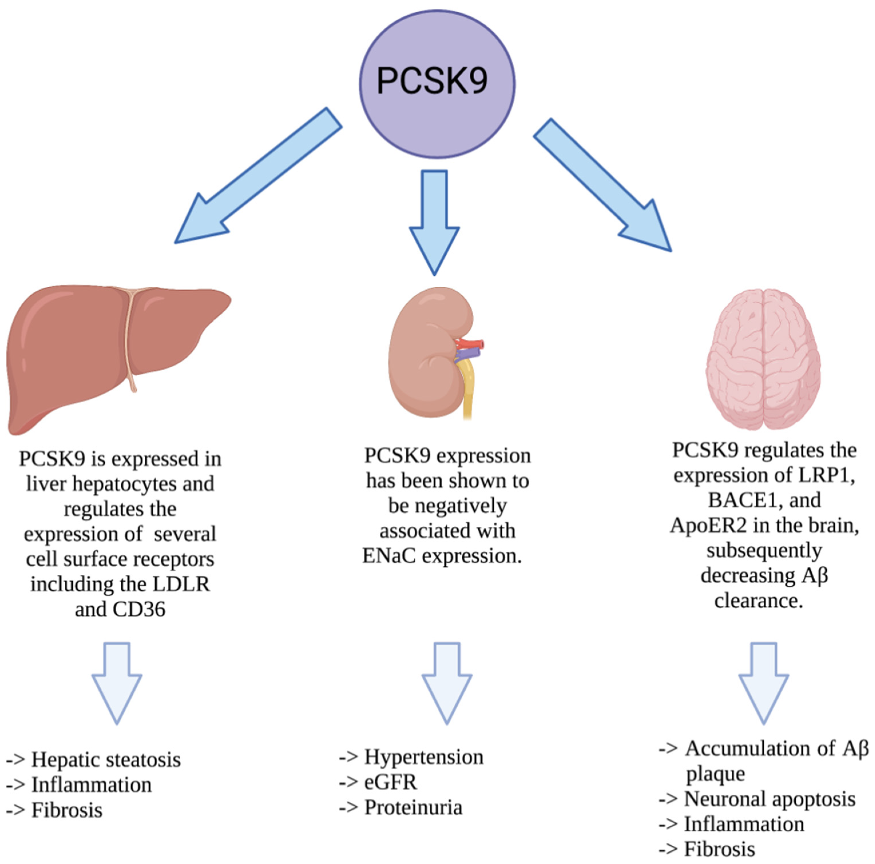 Metabolites 12 00215 g003 Metabolites 12 00215 g003