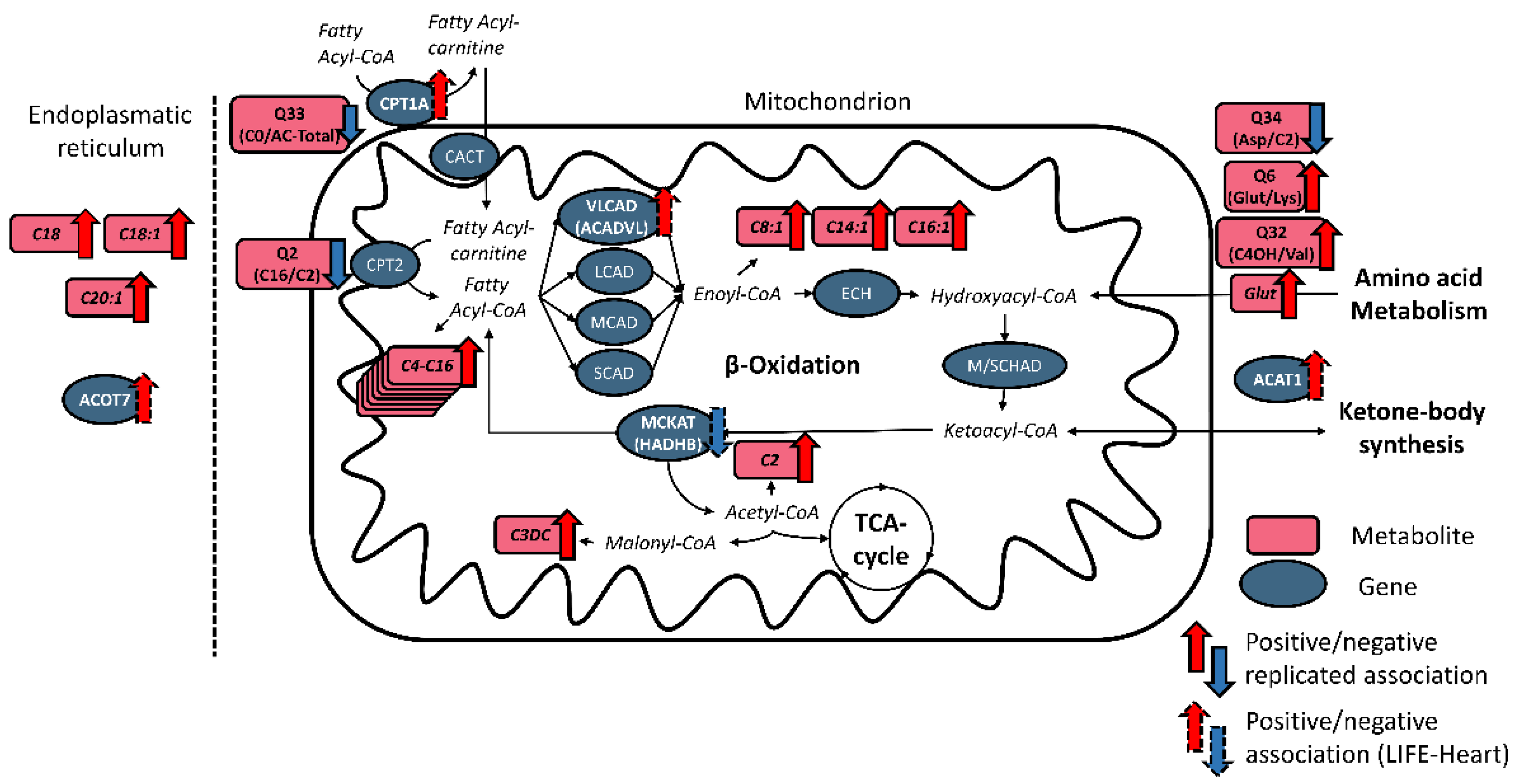 Metabolites 12 00216 g002