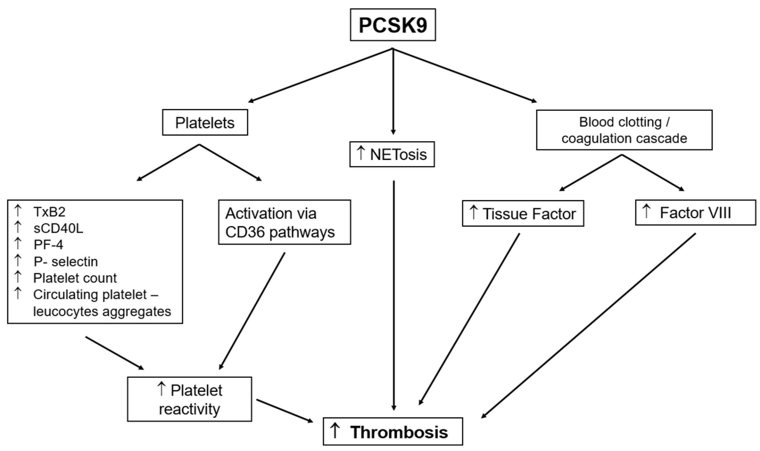 Metabolites 12 00226 g001 Metabolites 12 00226 g001