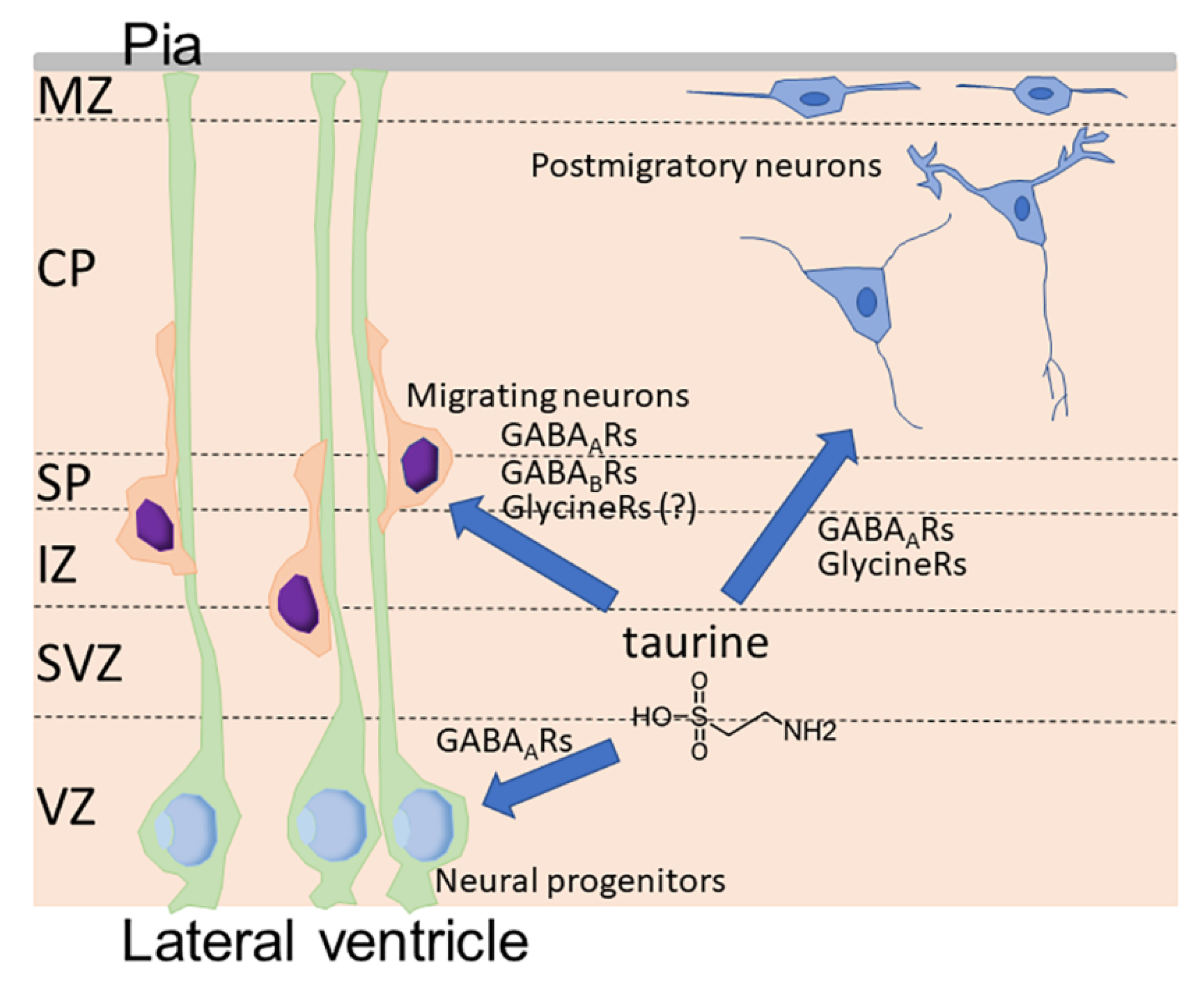 Metabolites 12 00228 g002 Metabolites 12 00228 g002