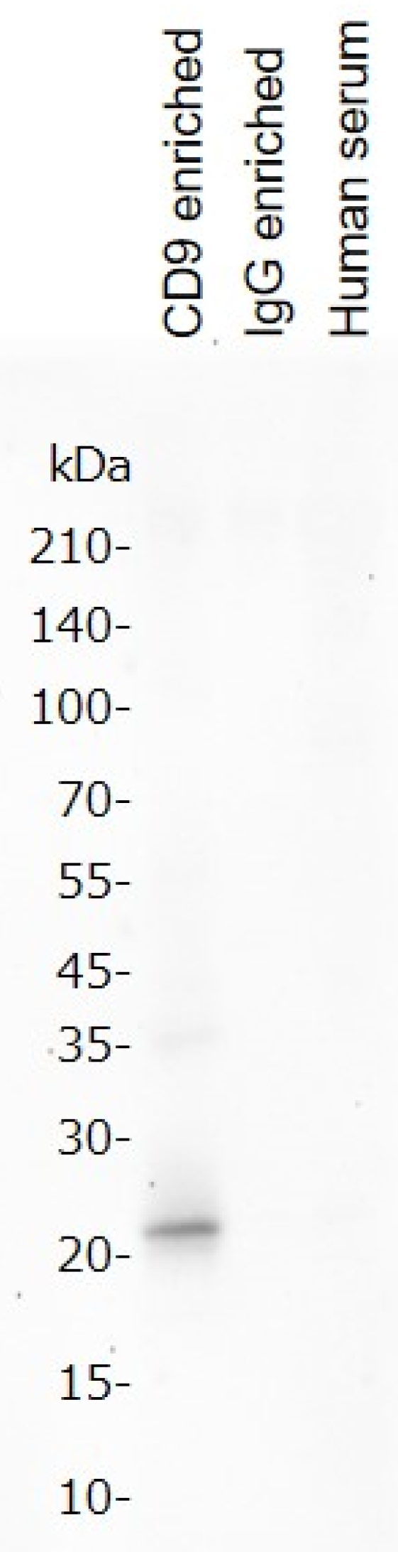 Metabolites 12 00230 g001 550