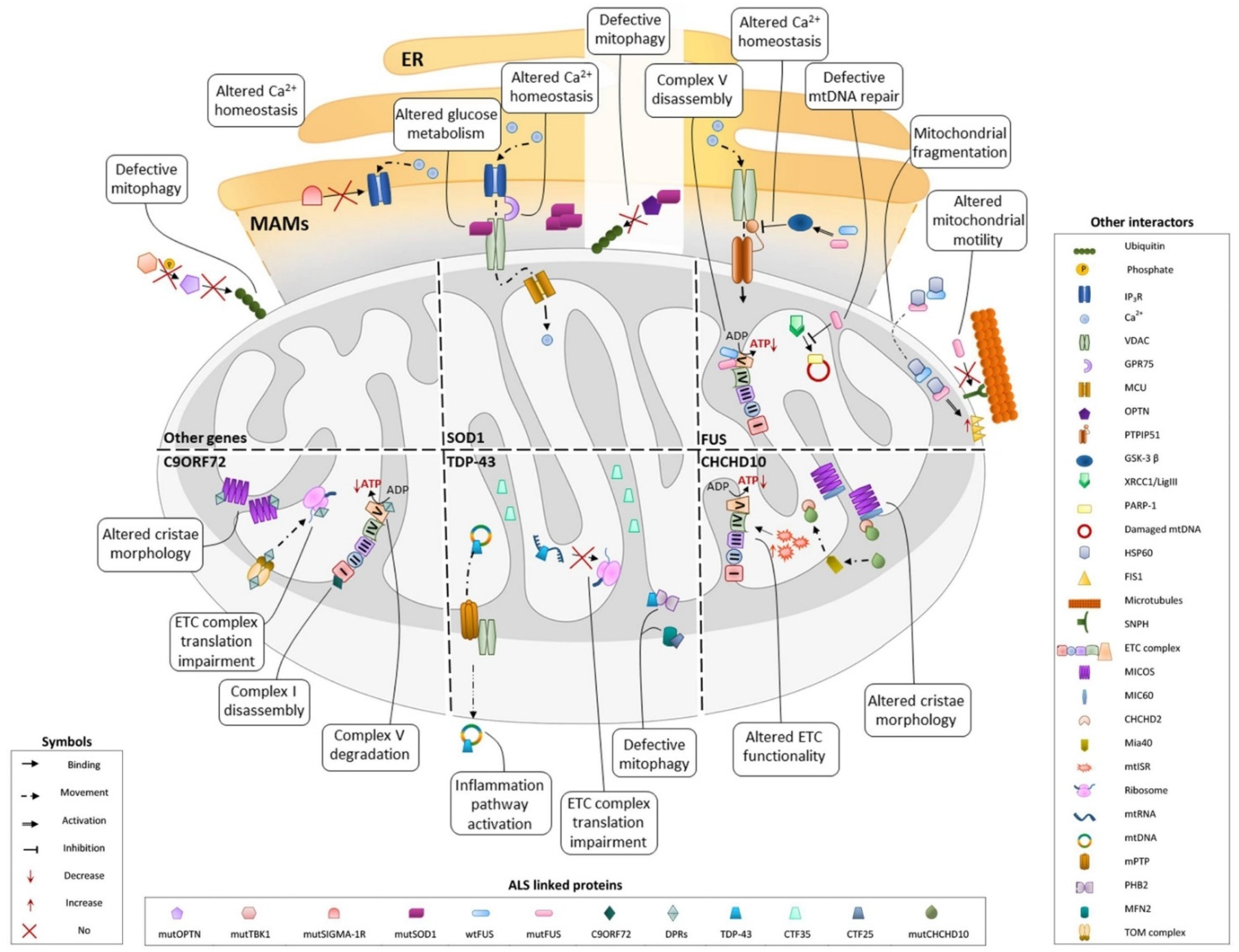 Metabolites 12 00233 g001 Metabolites 12 00233 g001