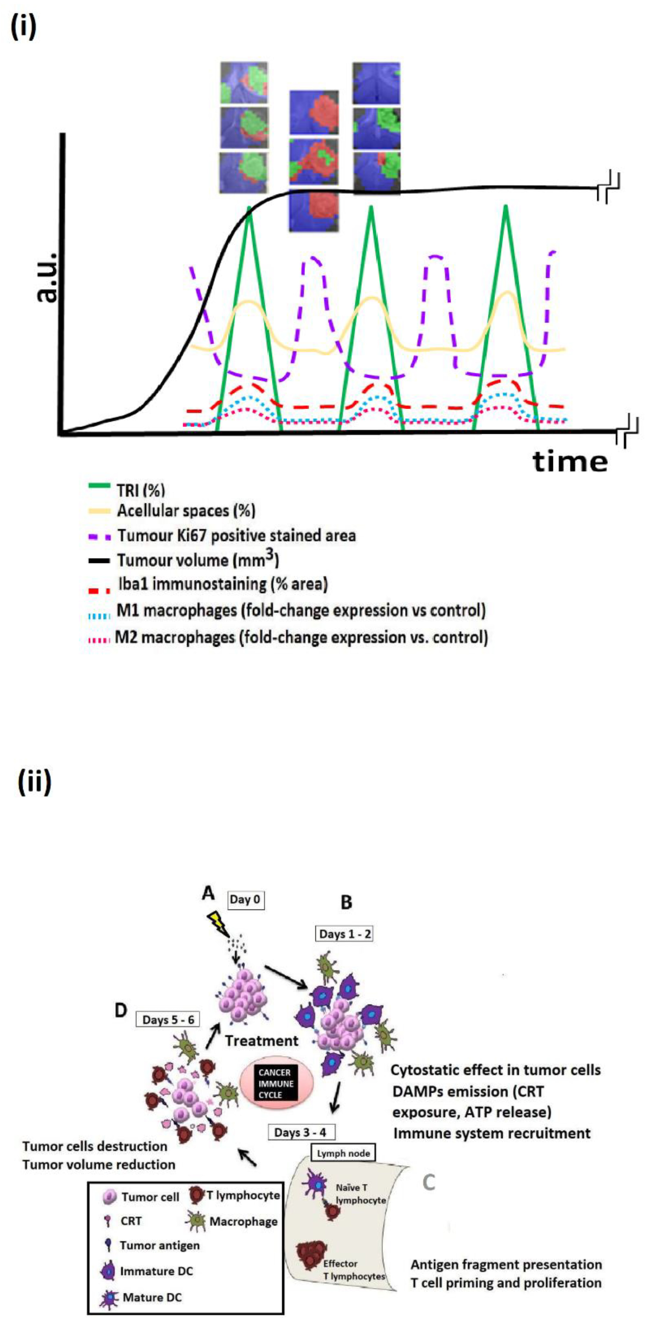 Metabolites 12 00243 g003