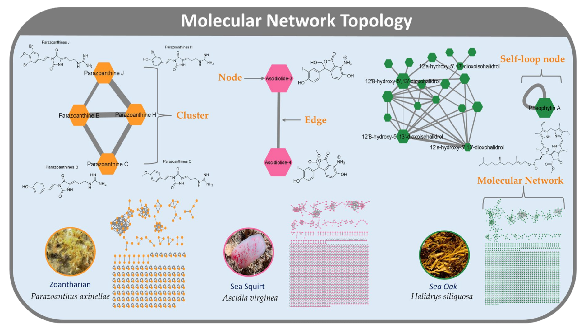 Metabolites 12 00245 g001 550