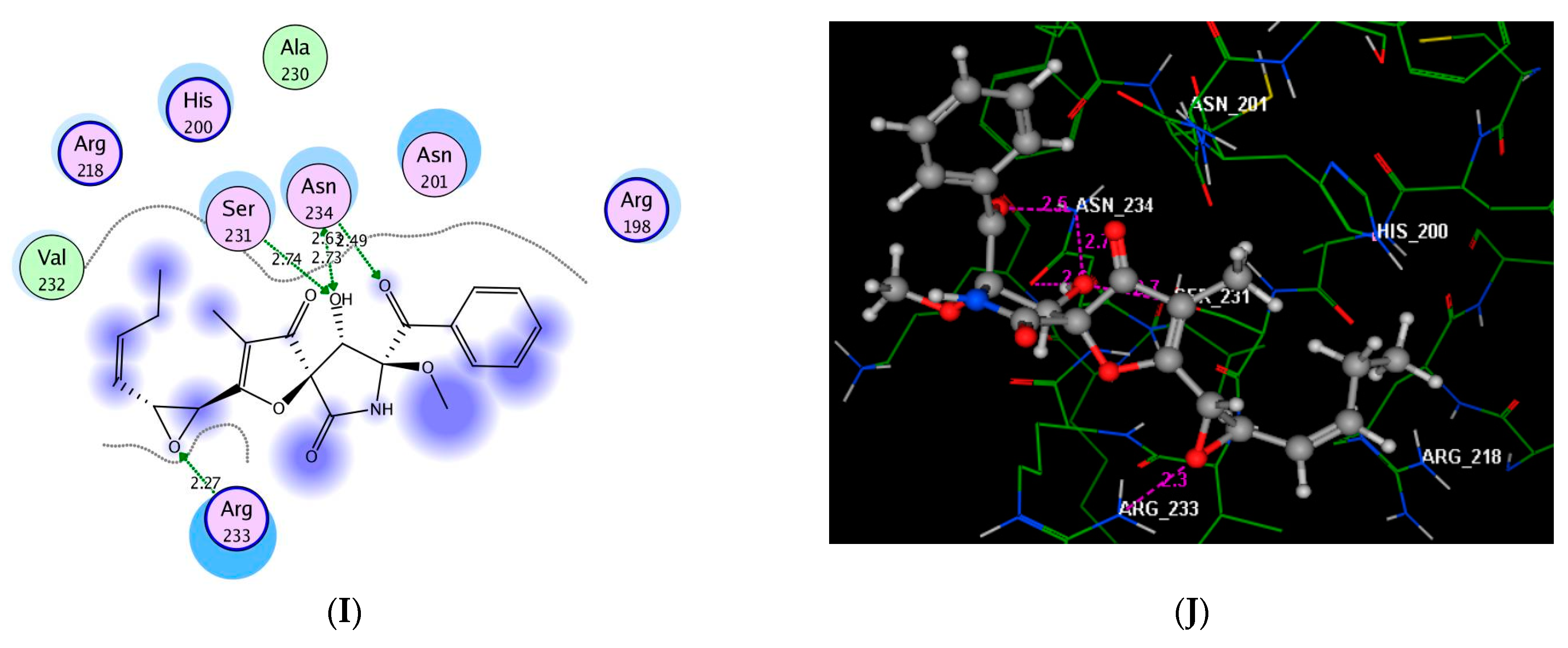 Metabolites 12 00246 g007b