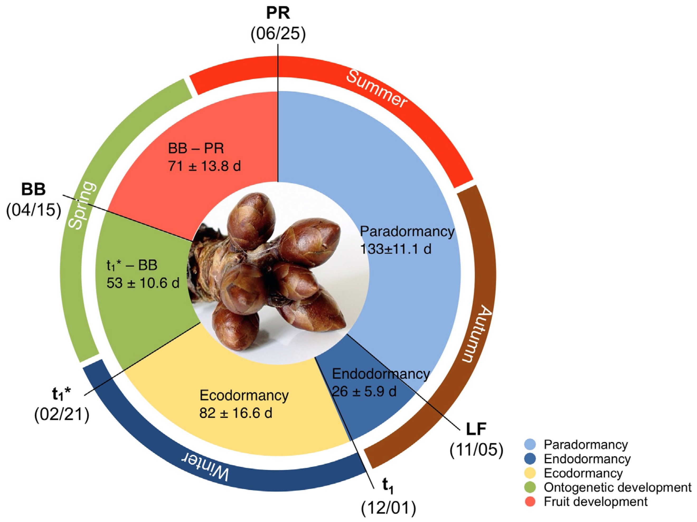 Metabolites 12 00247 g001 550
