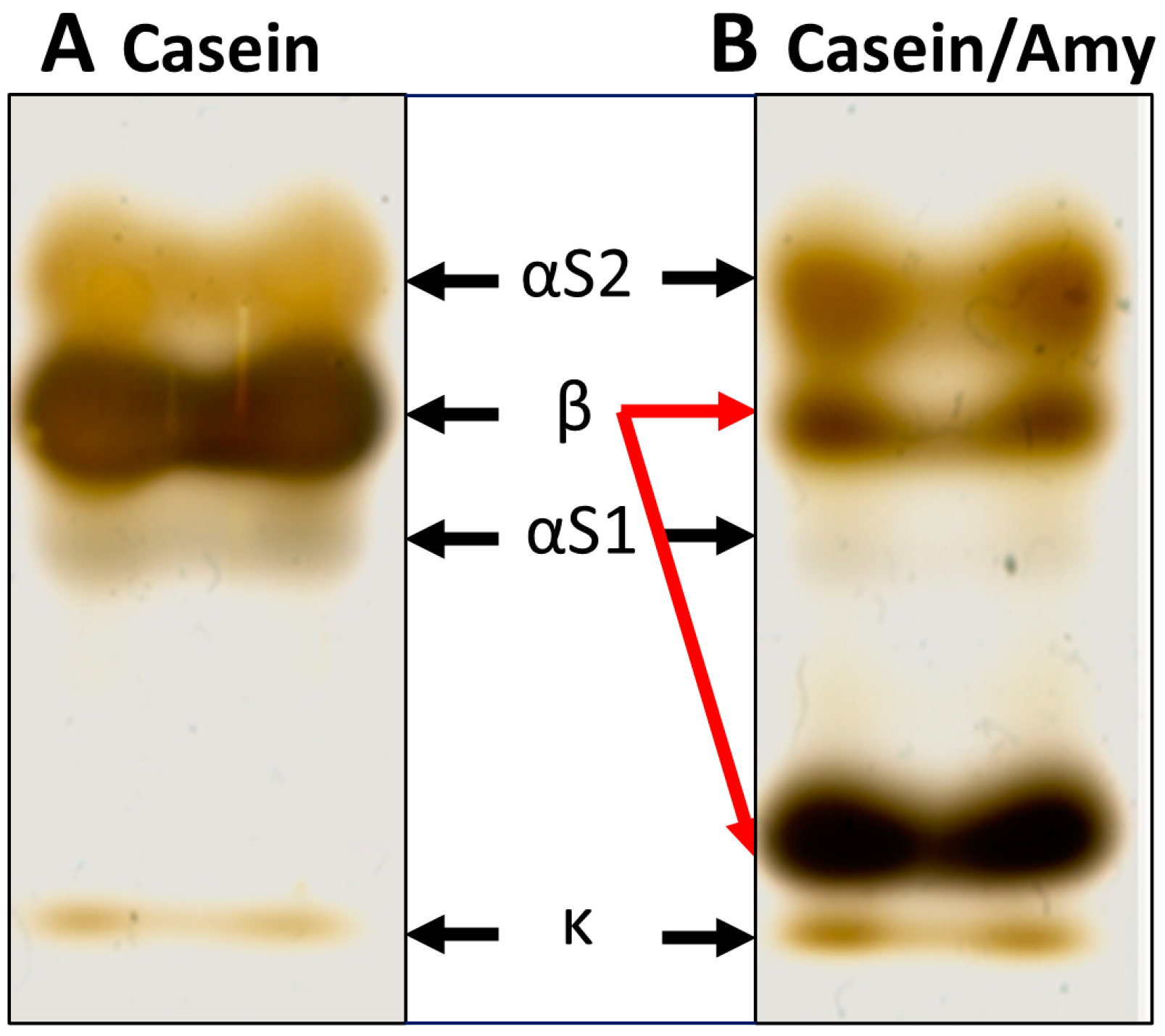 Metabolites 12 00254 g002 550
