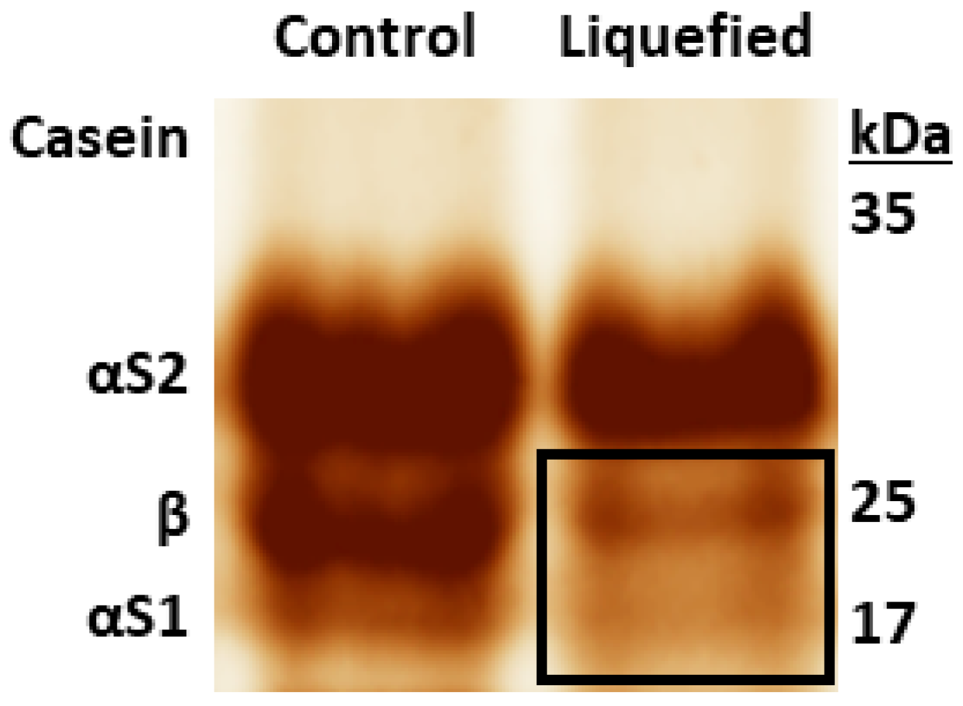 Metabolites 12 00254 g006 550