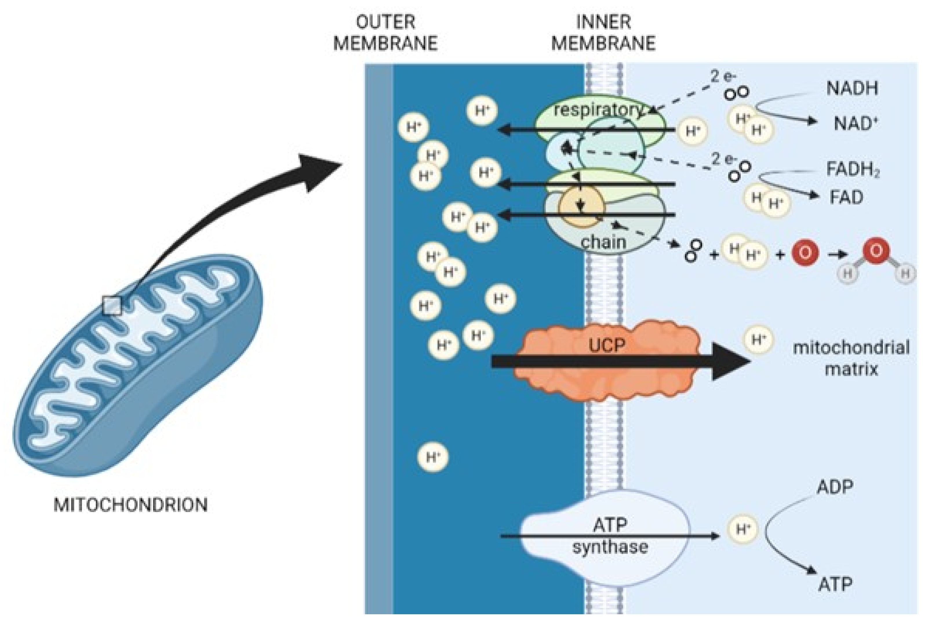 Metabolites 12 00259 g001 Metabolites 12 00259 g001