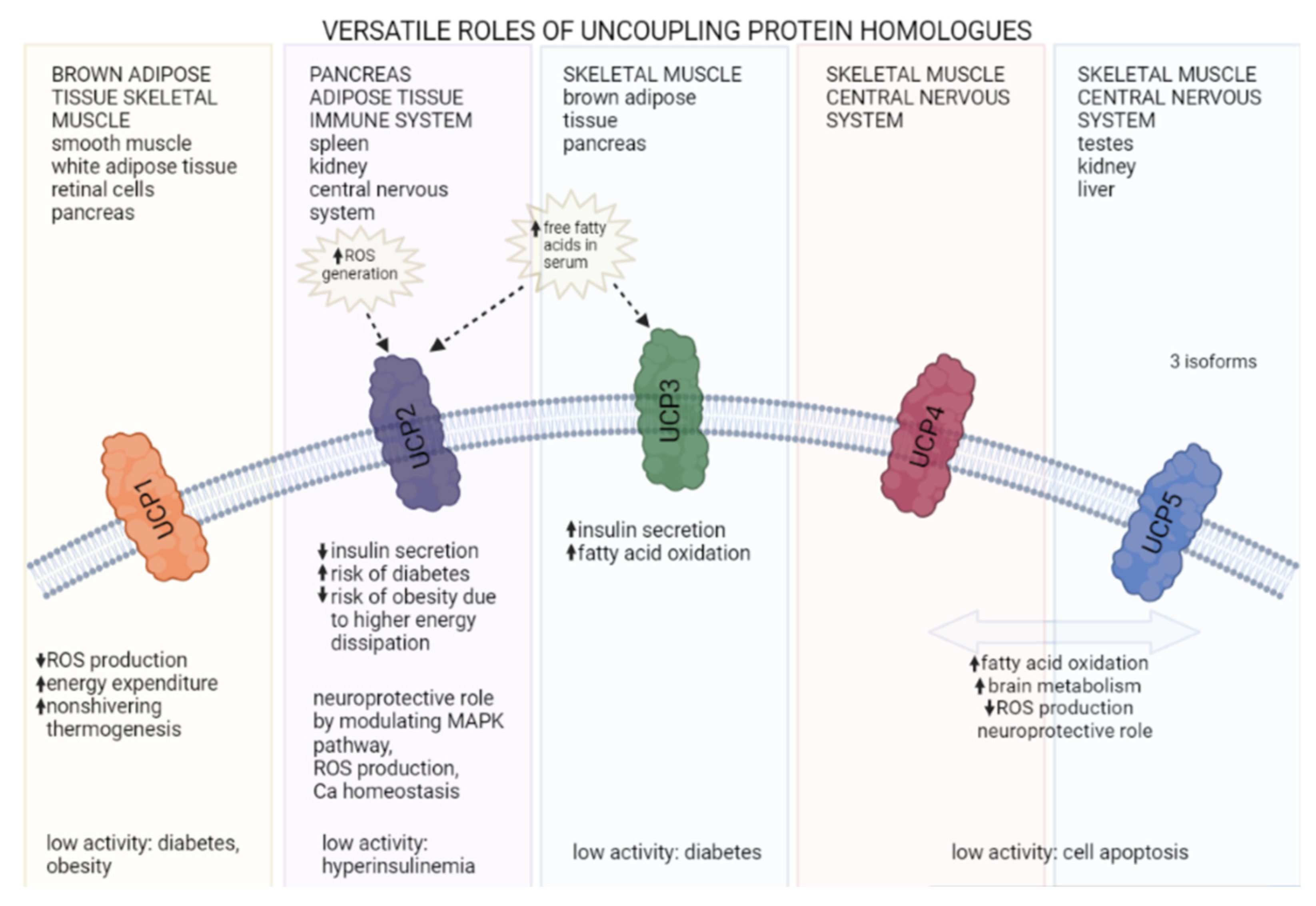 Metabolites 12 00259 g002 550