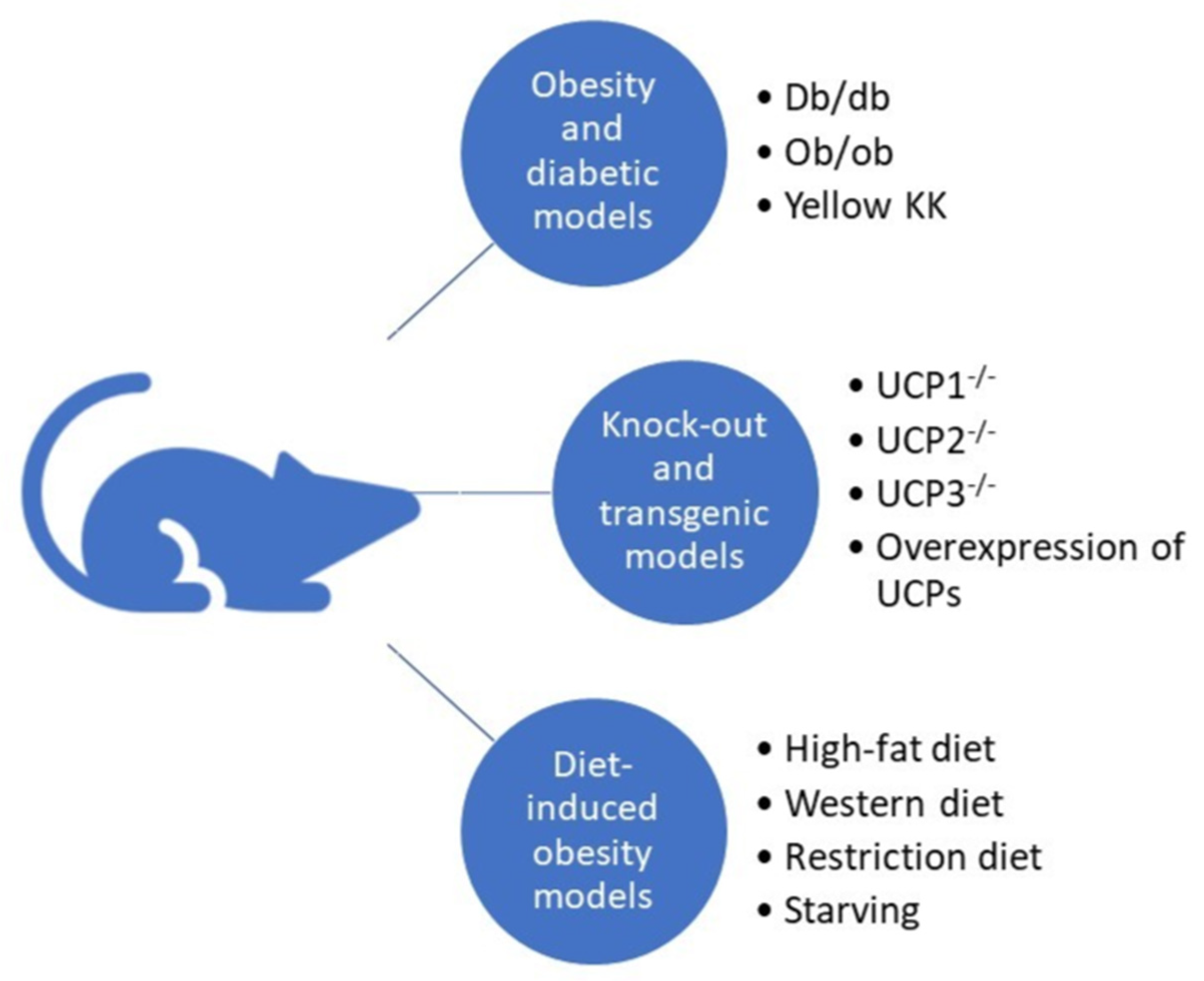 Metabolites 12 00259 g003 Metabolites 12 00259 g003