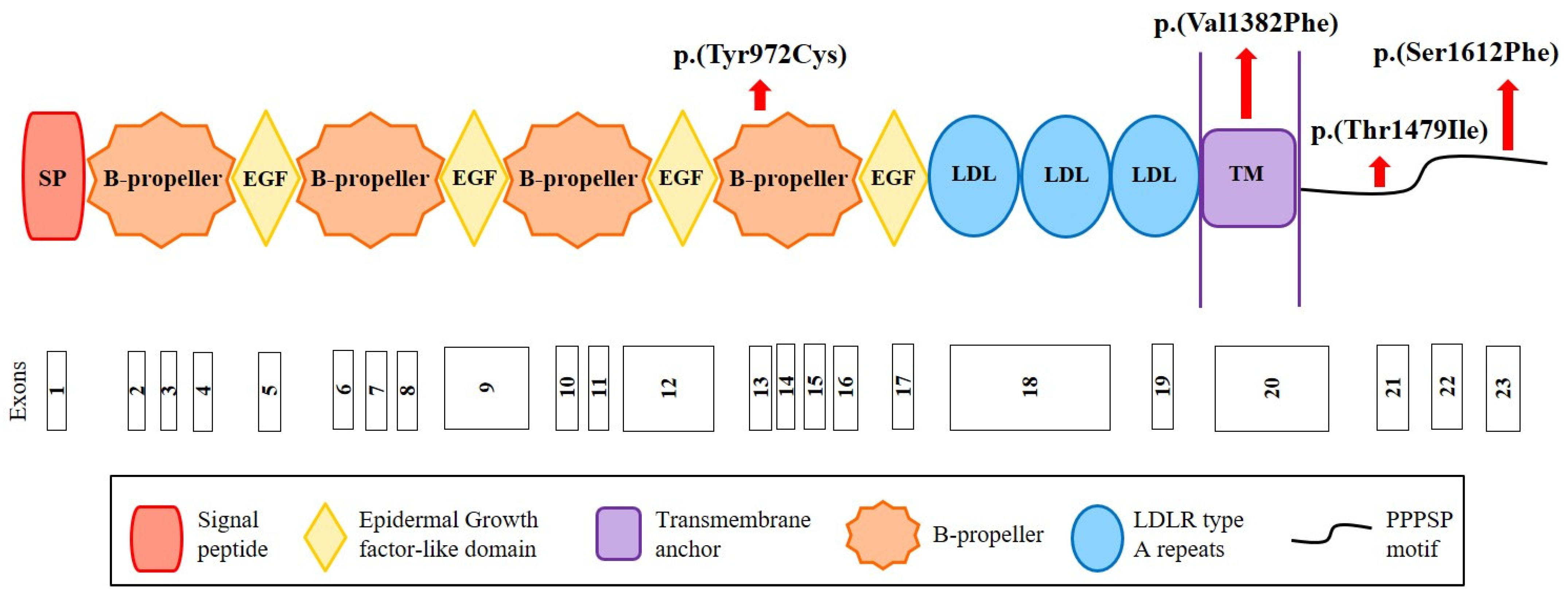Metabolites 12 00262 g002
