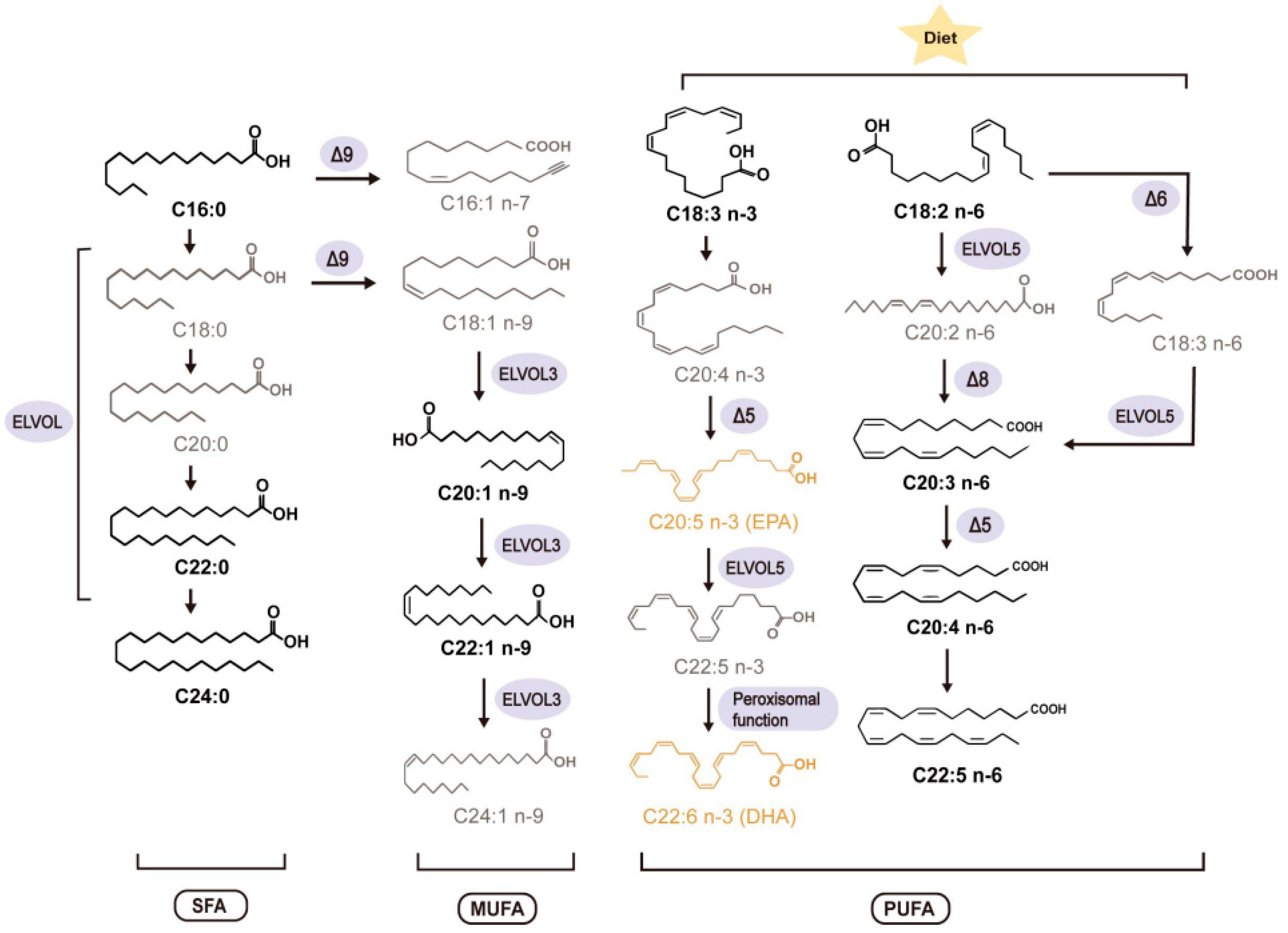 Metabolites 12 00269 g001