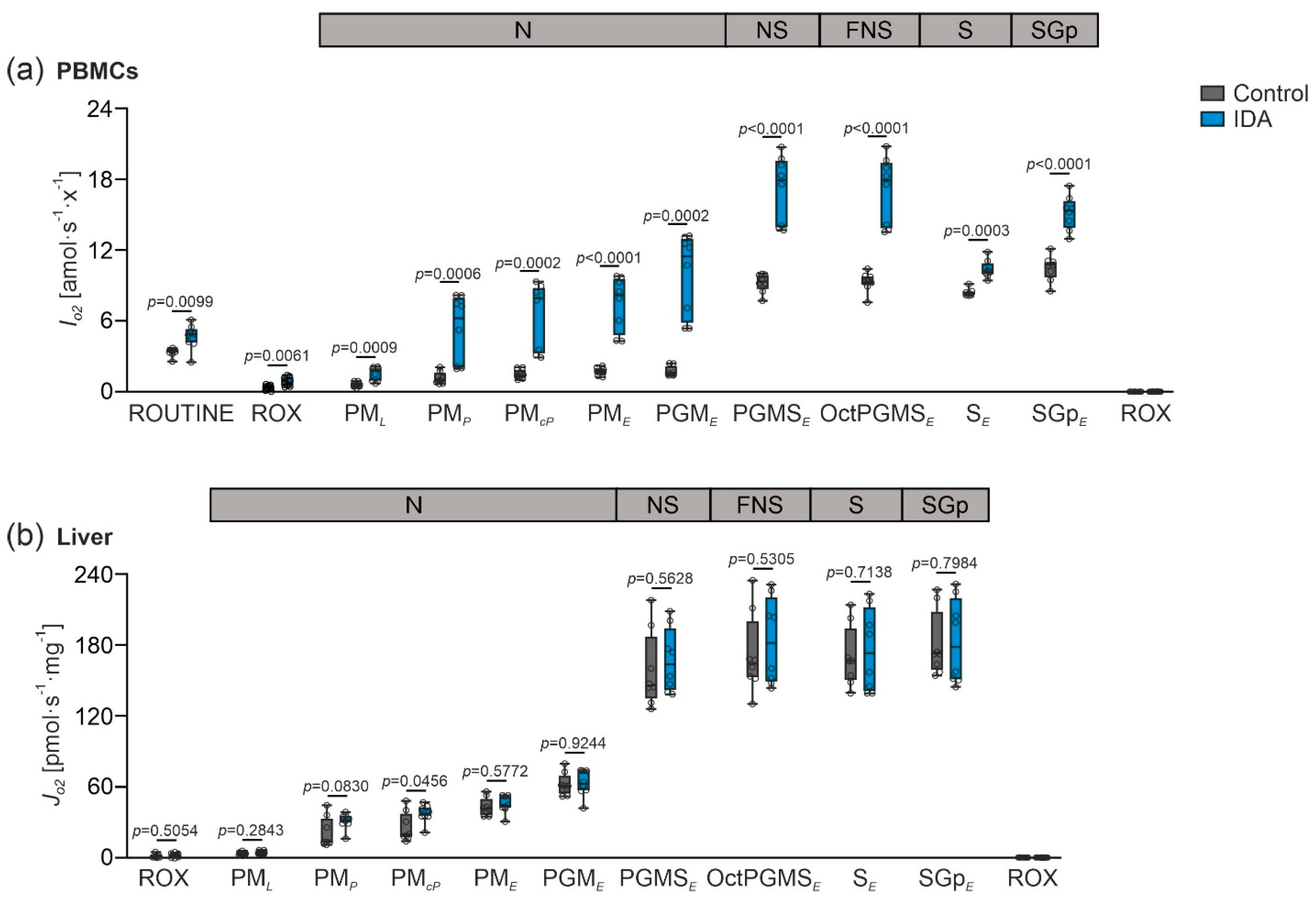 ROUTINE respiration - Bioblast