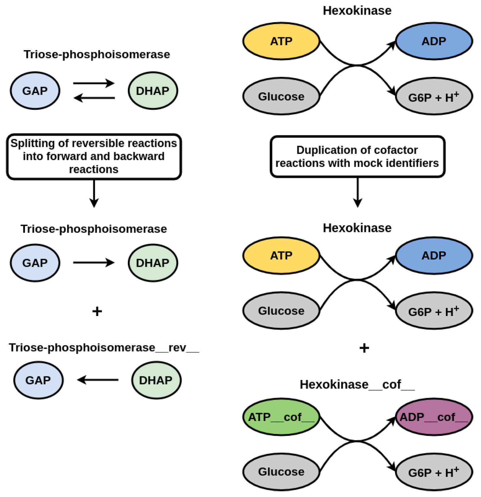 Metabolites 12 00275 g003 550