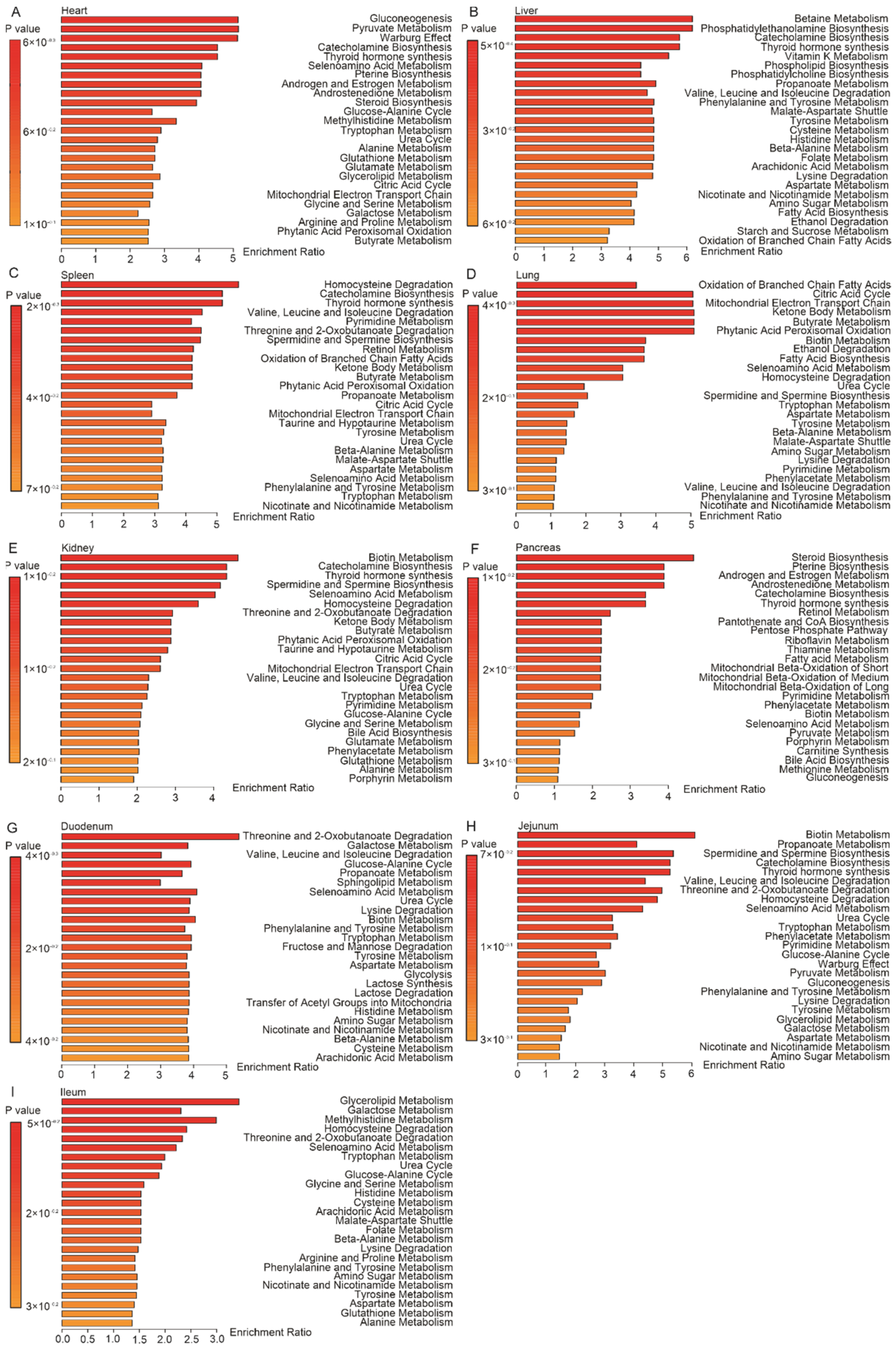 Metabolites 12 00287 g003