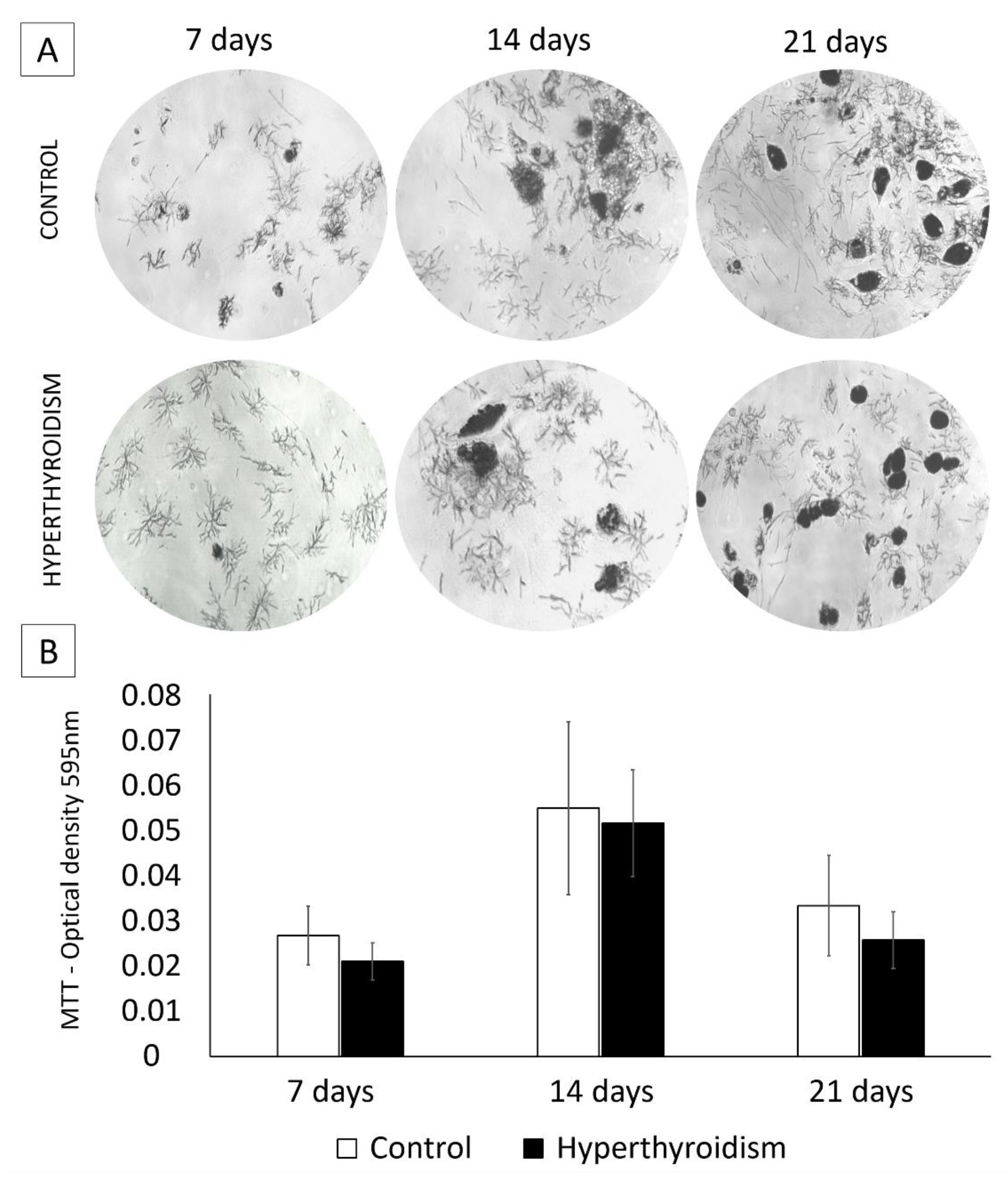 Metabolites 12 00292 g003