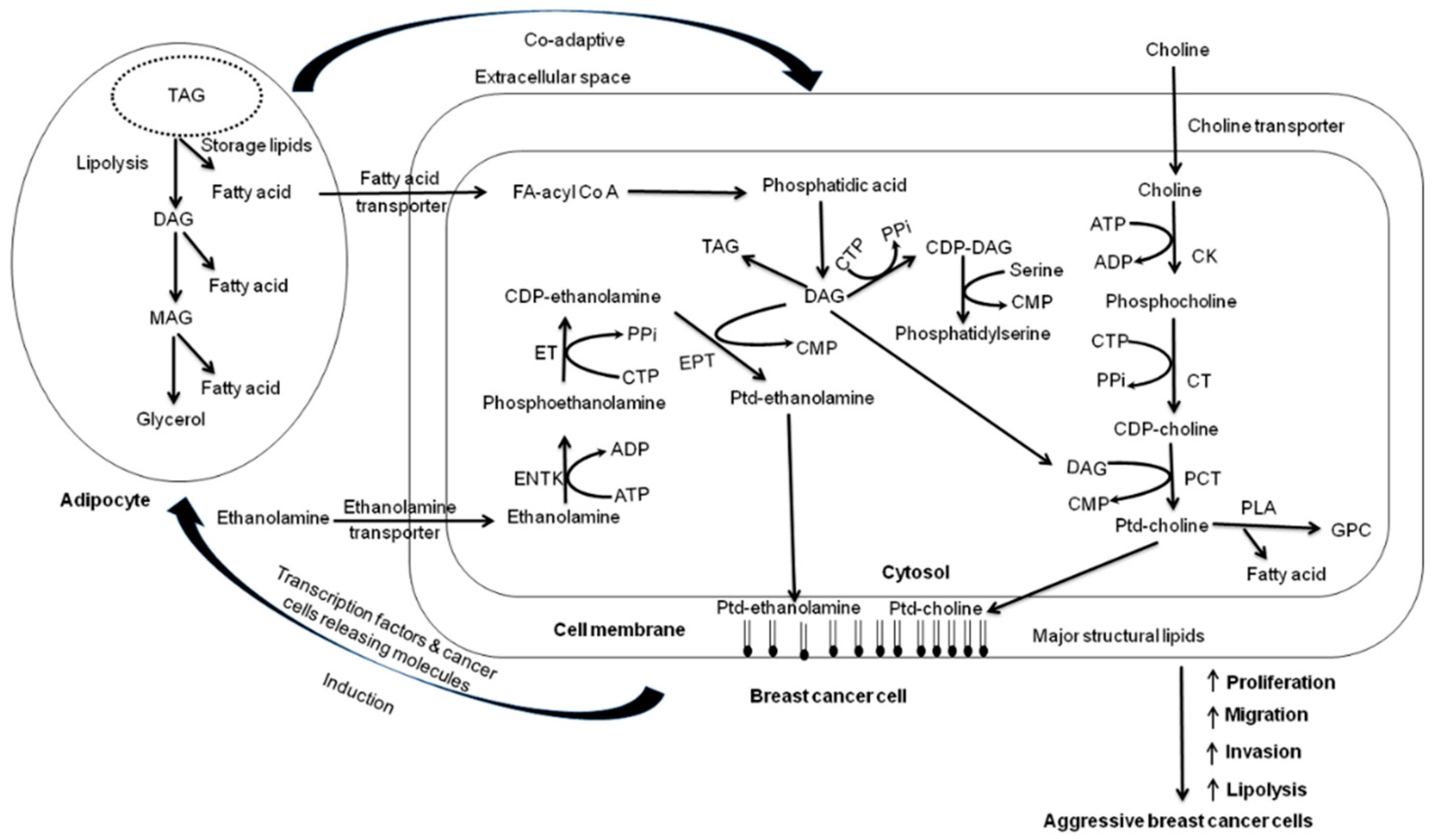 Metabolites 12 00295 g002
