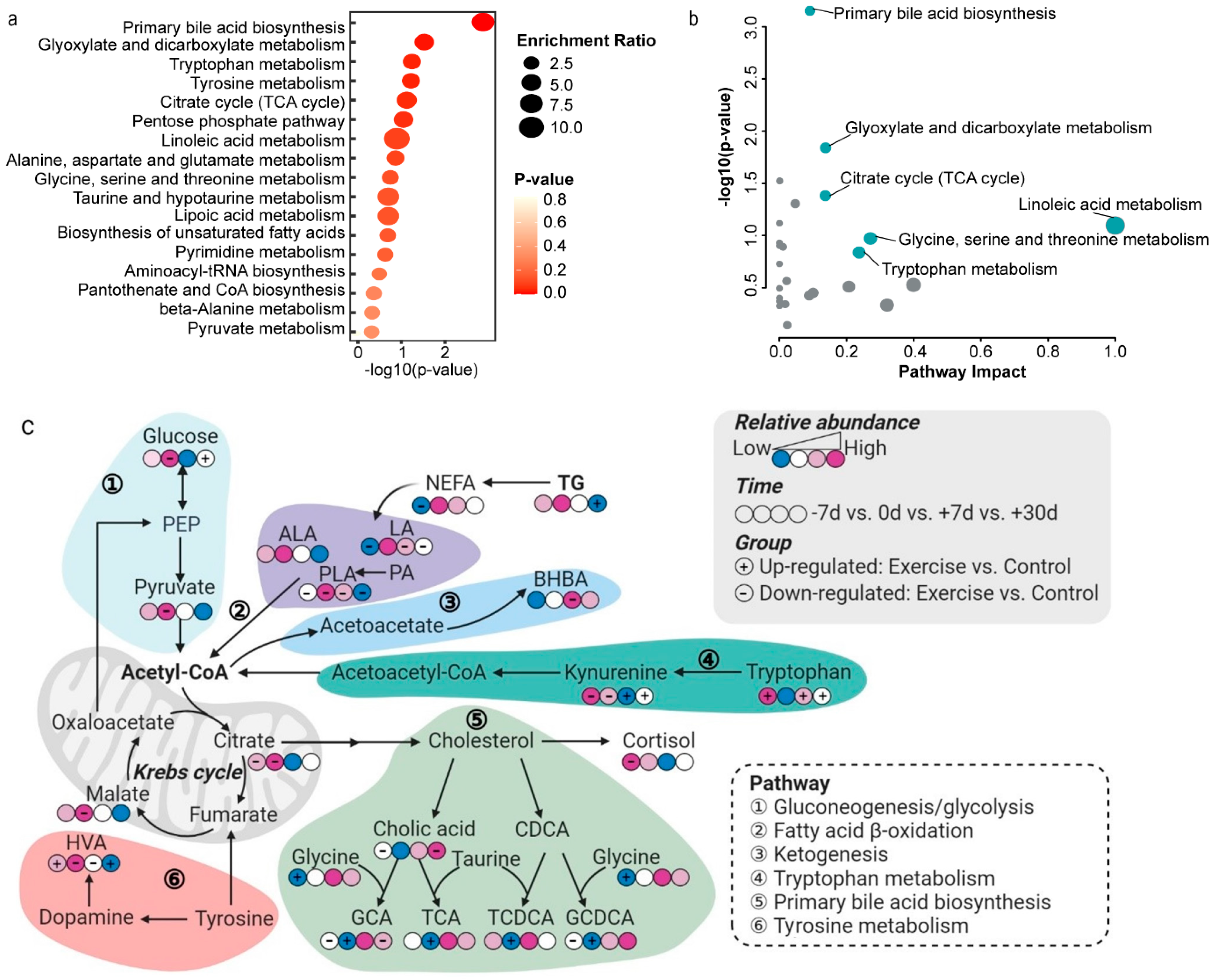 Metabolites 12 00309 g004 Metabolites 12 00309 g004