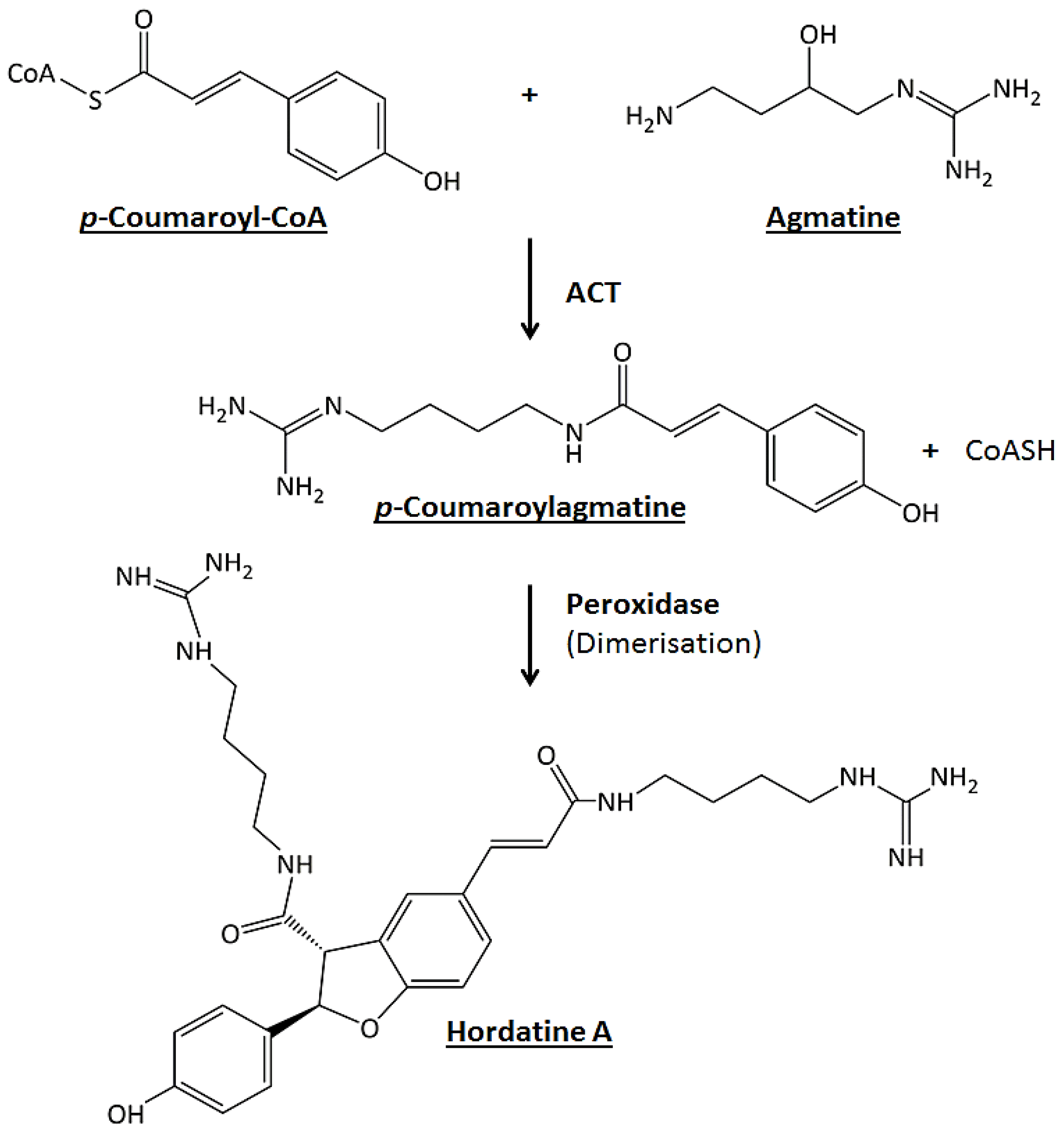 Metabolites 12 00310 g001 Metabolites 12 00310 g001