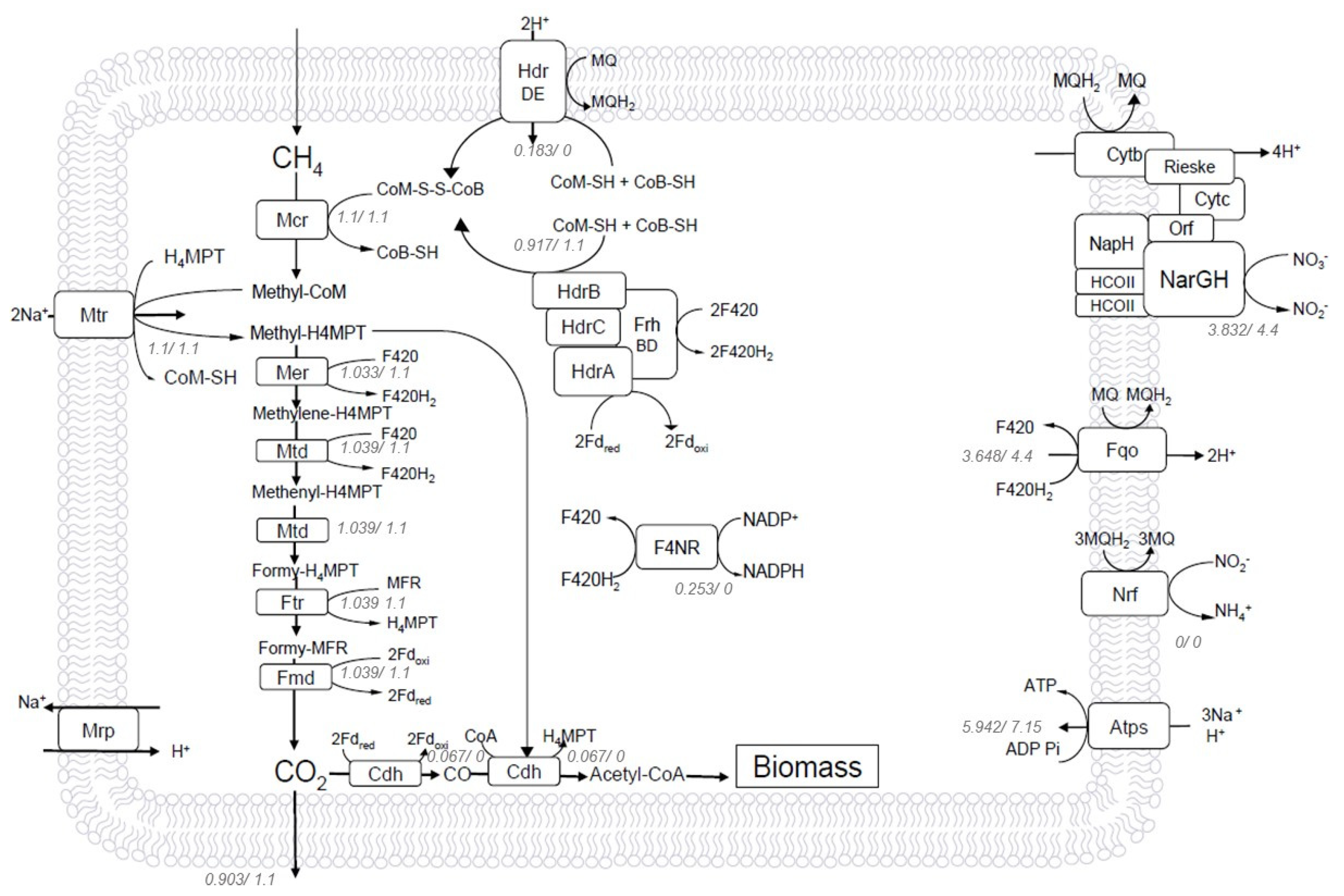 Metabolites 12 00314 g002