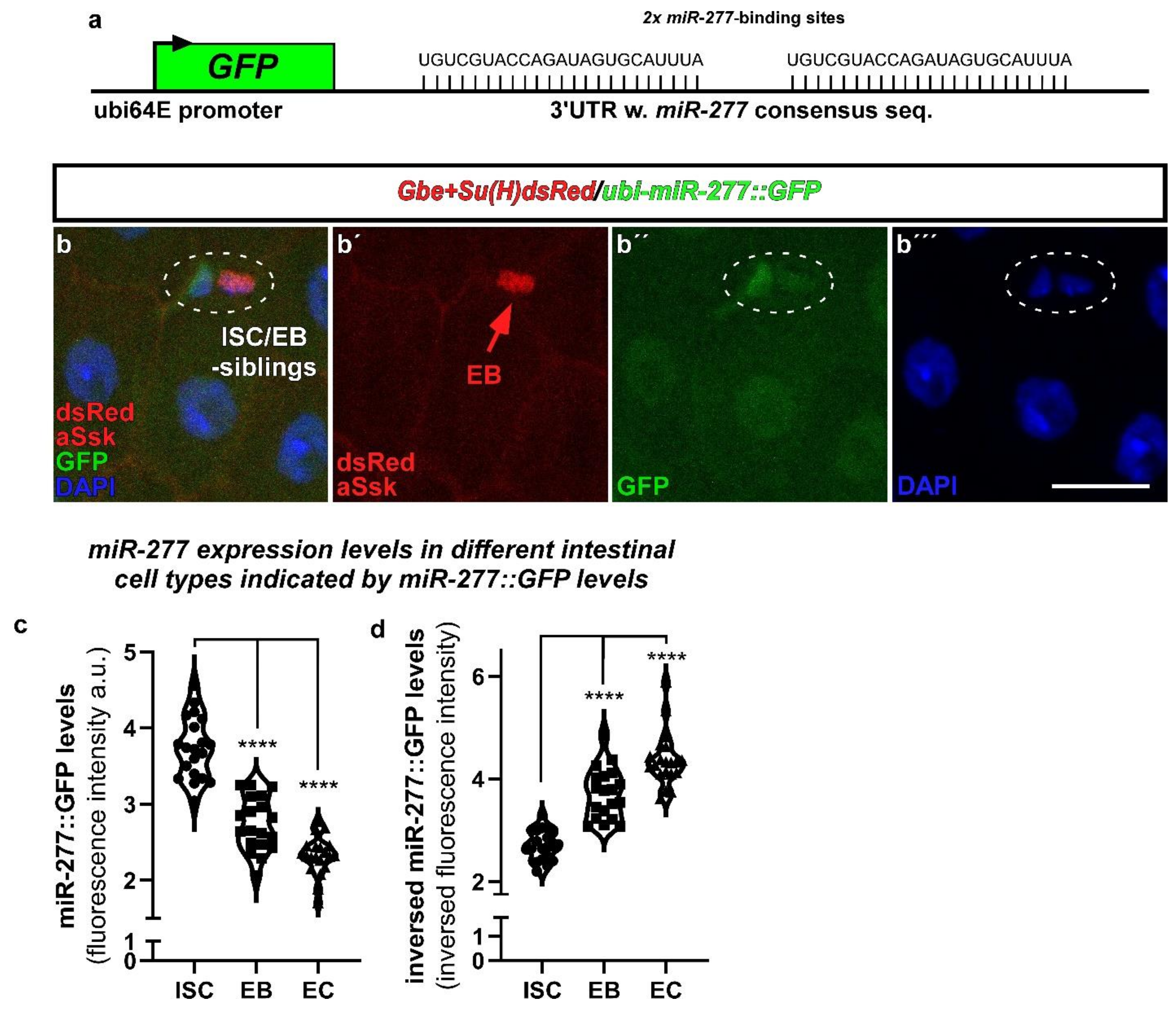 Metabolites 12 00315 g002