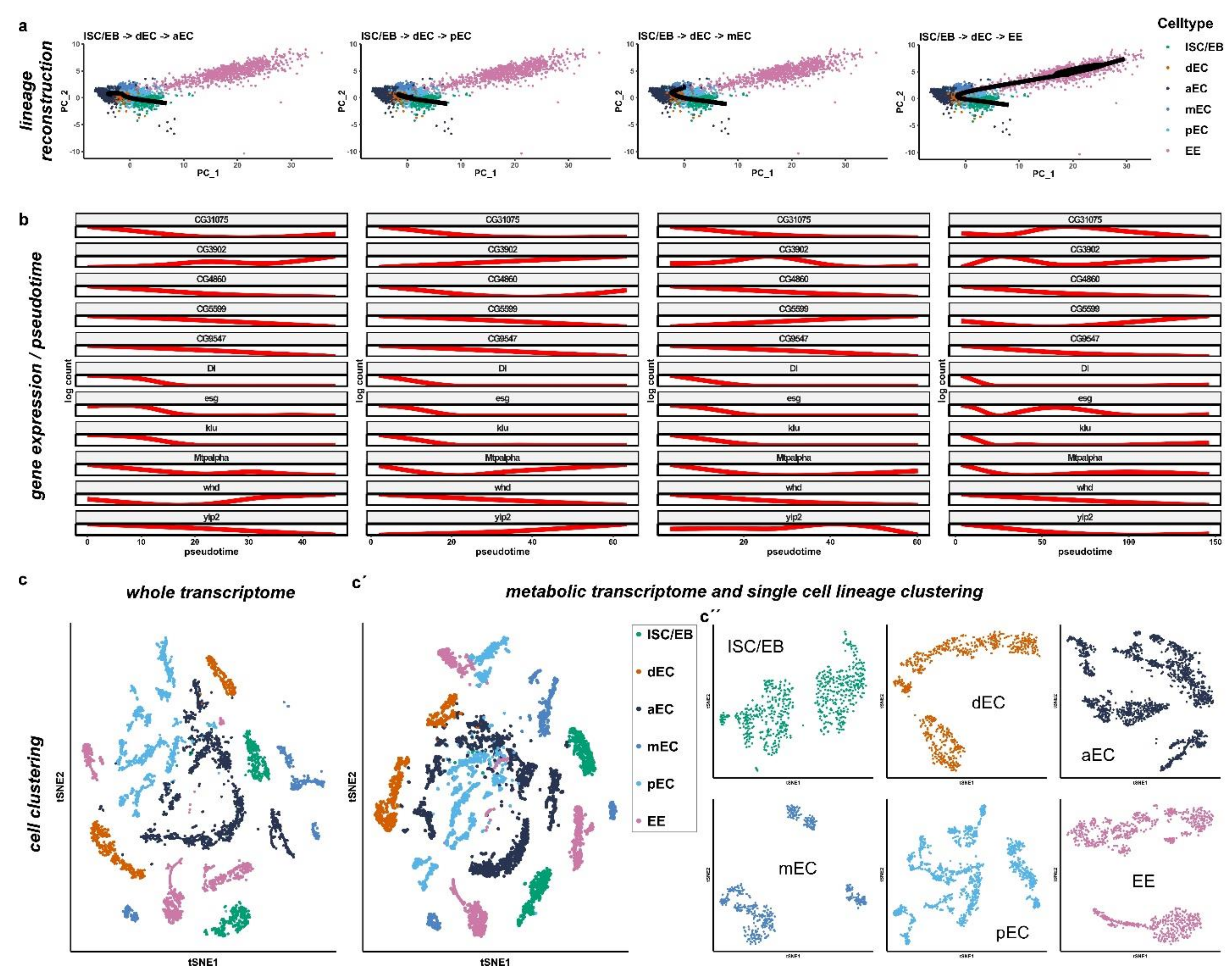 Metabolites 12 00315 g003