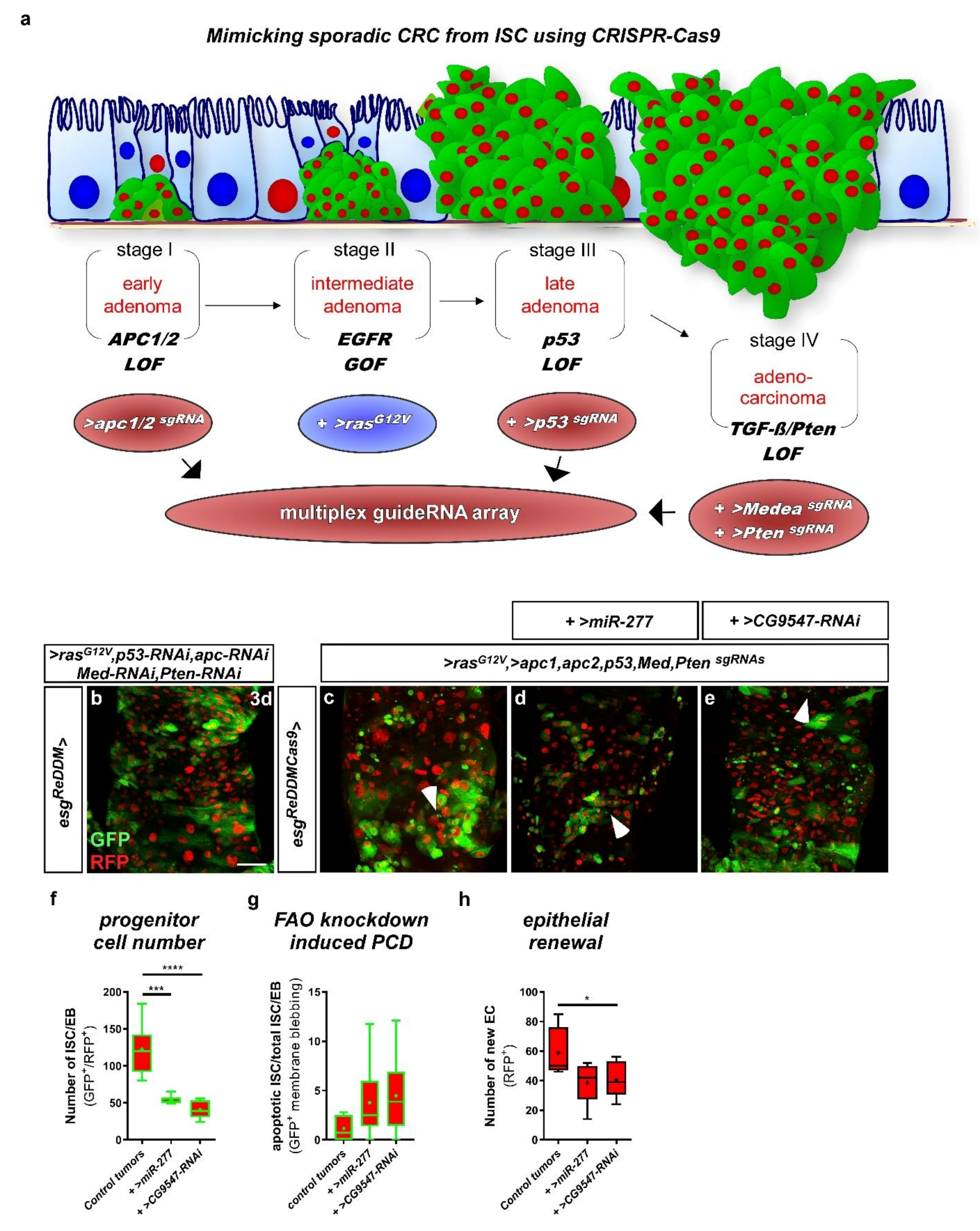 Metabolites 12 00315 g009