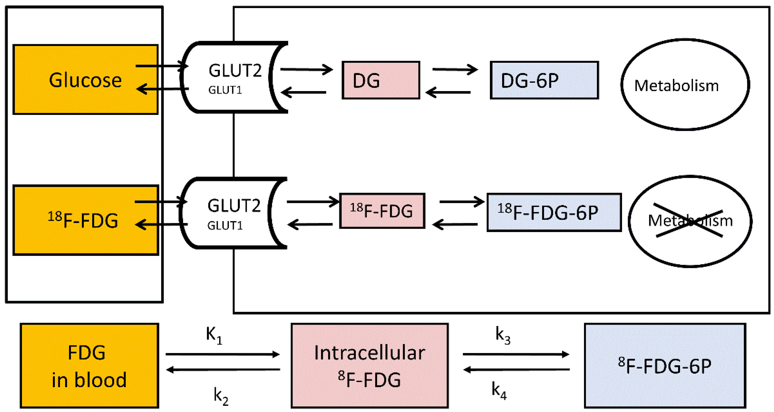 Metabolites 12 00321 g002