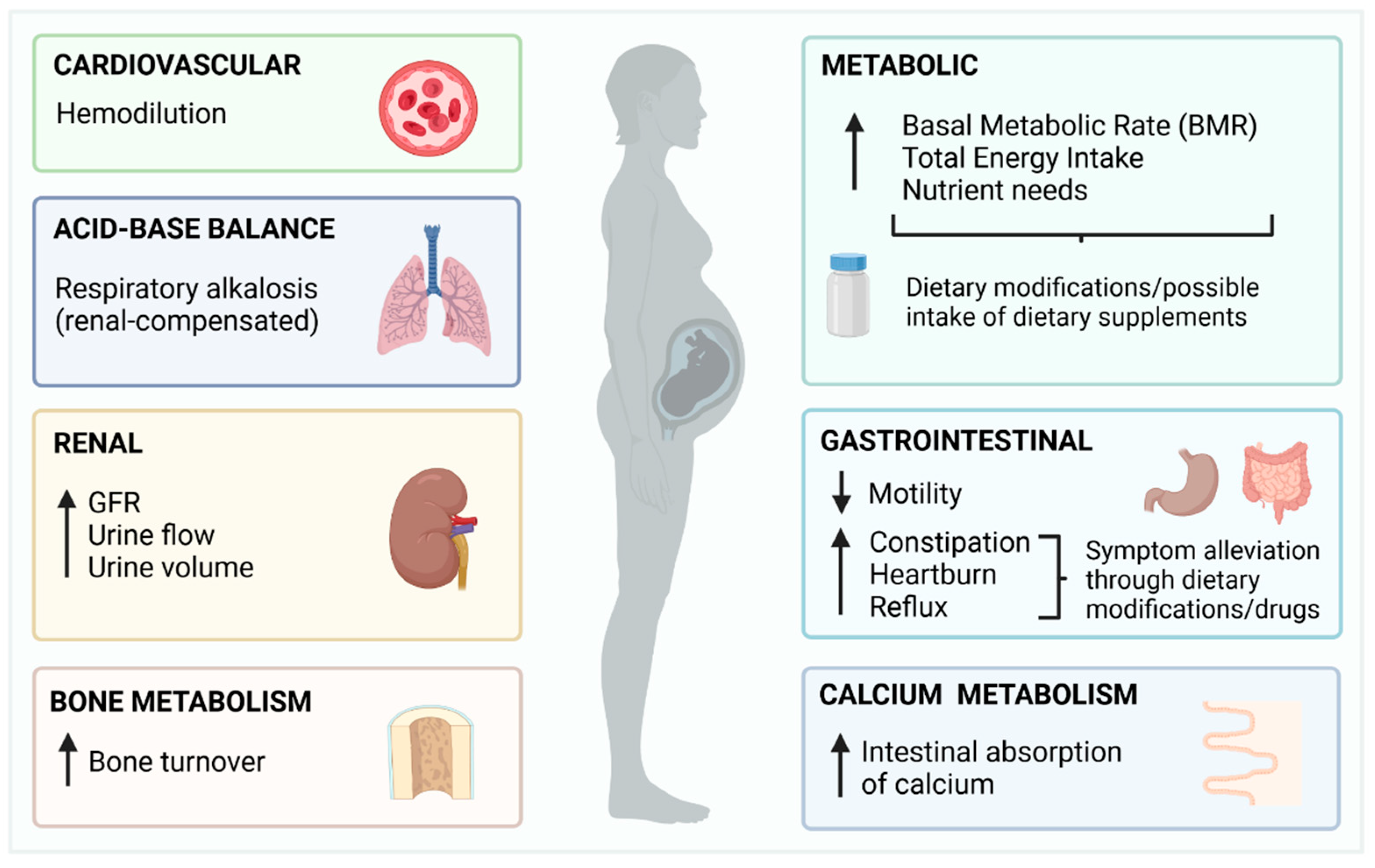 Metabolites 12 00324 g001