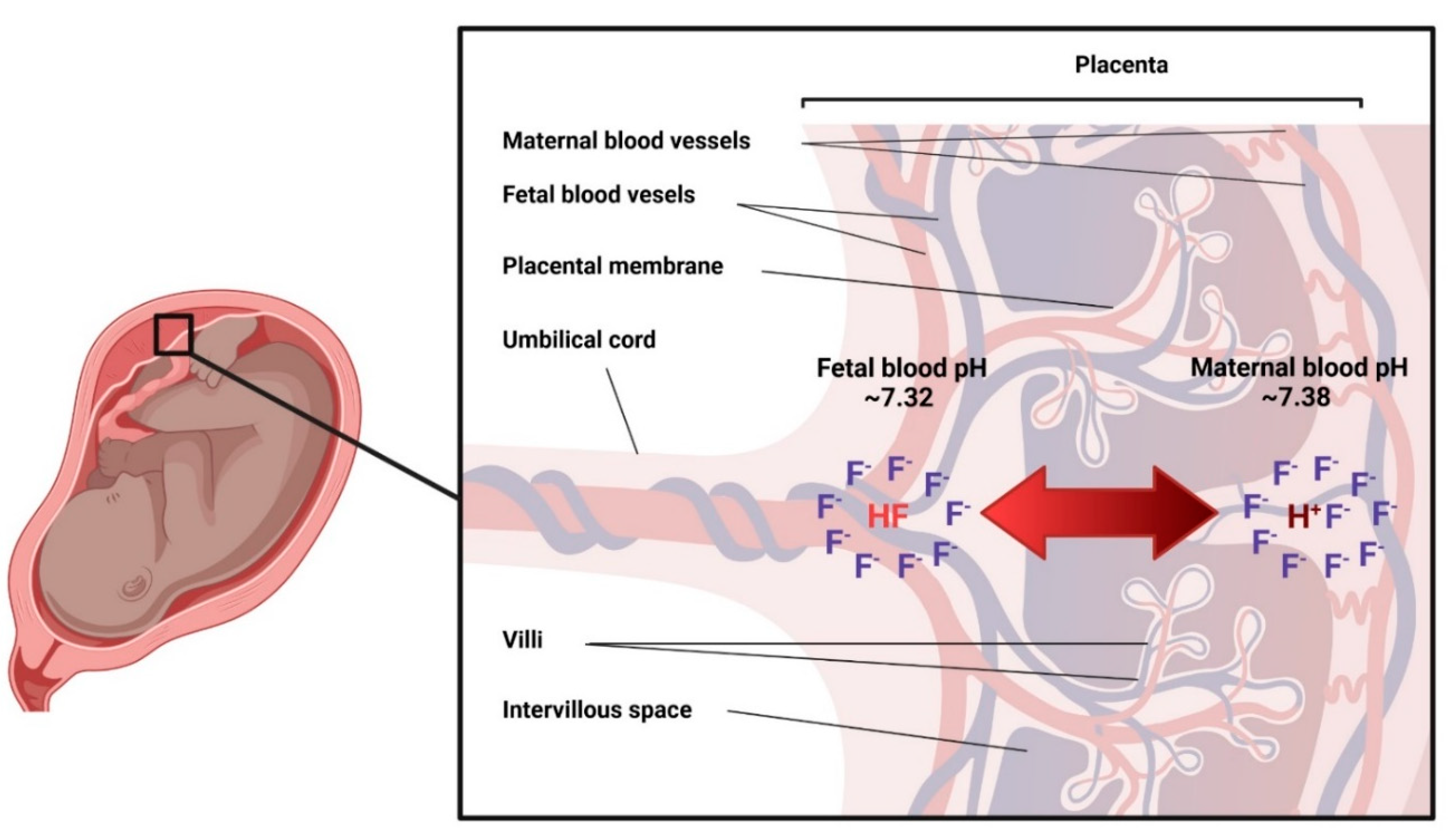 Metabolites 12 00324 g002