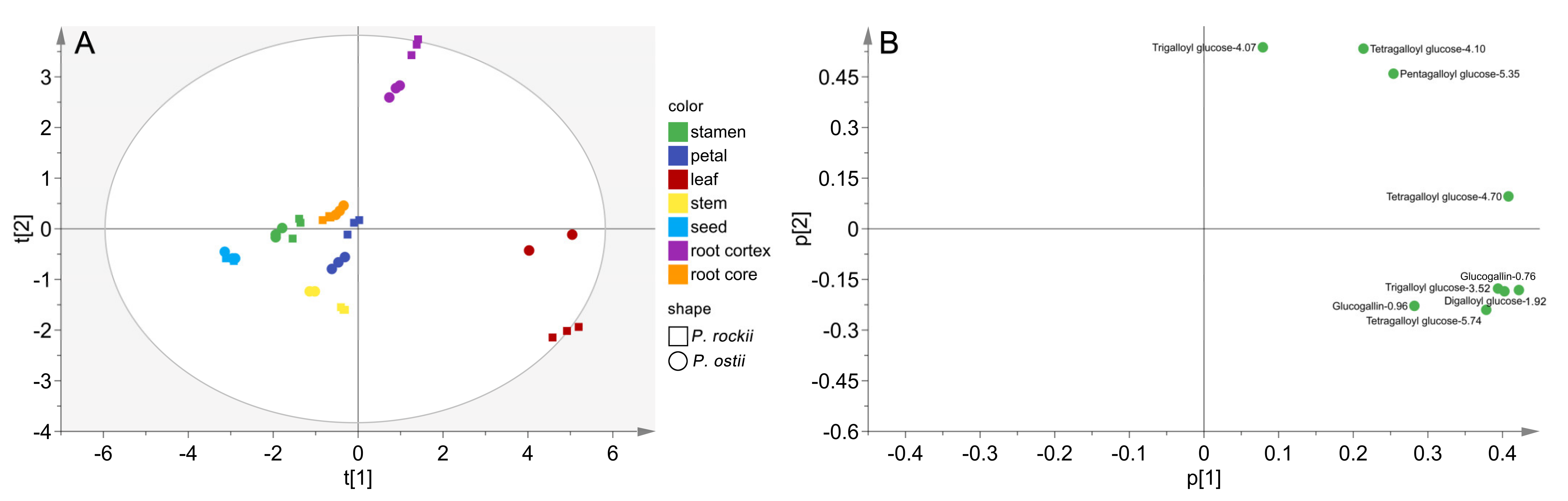 Metabolites 12 00326 g004