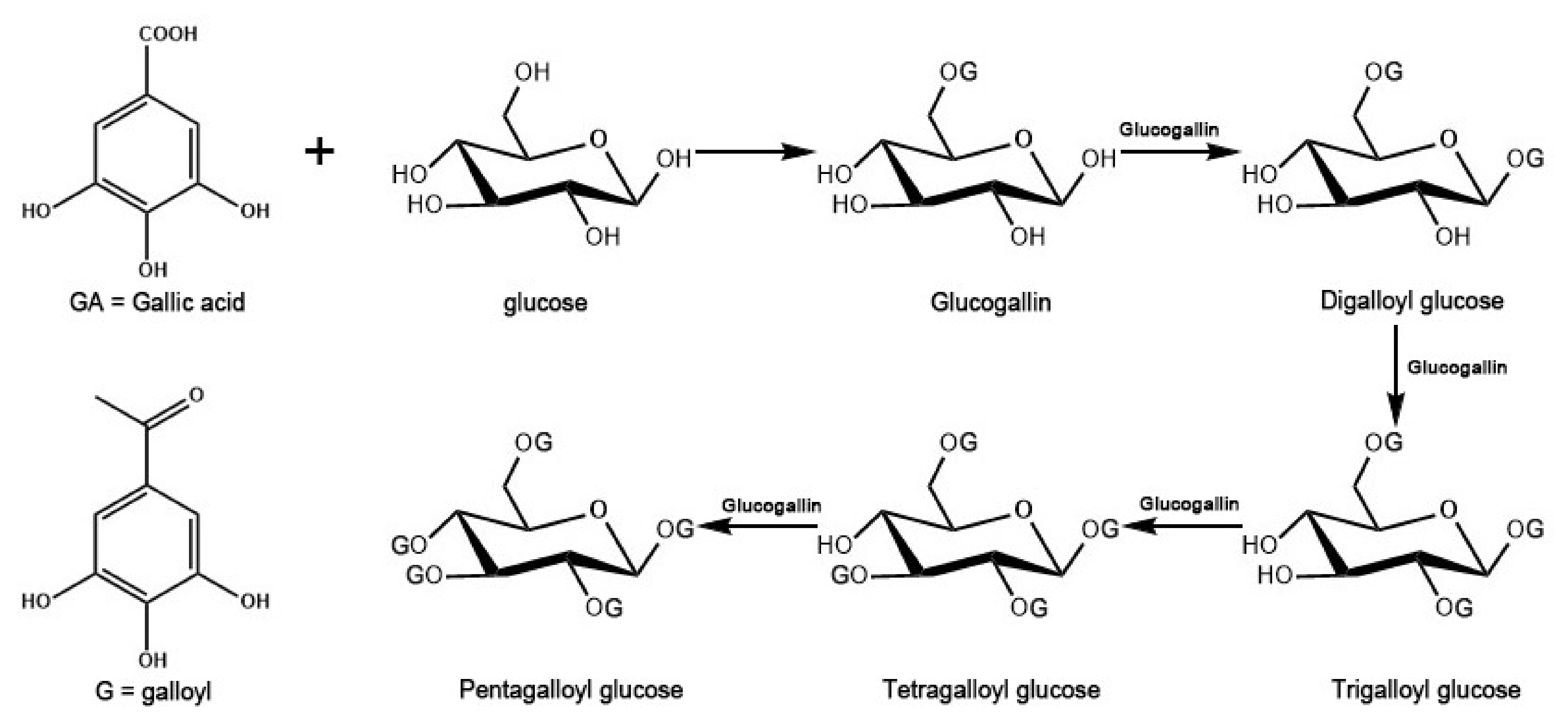 Metabolites 12 00326 g007