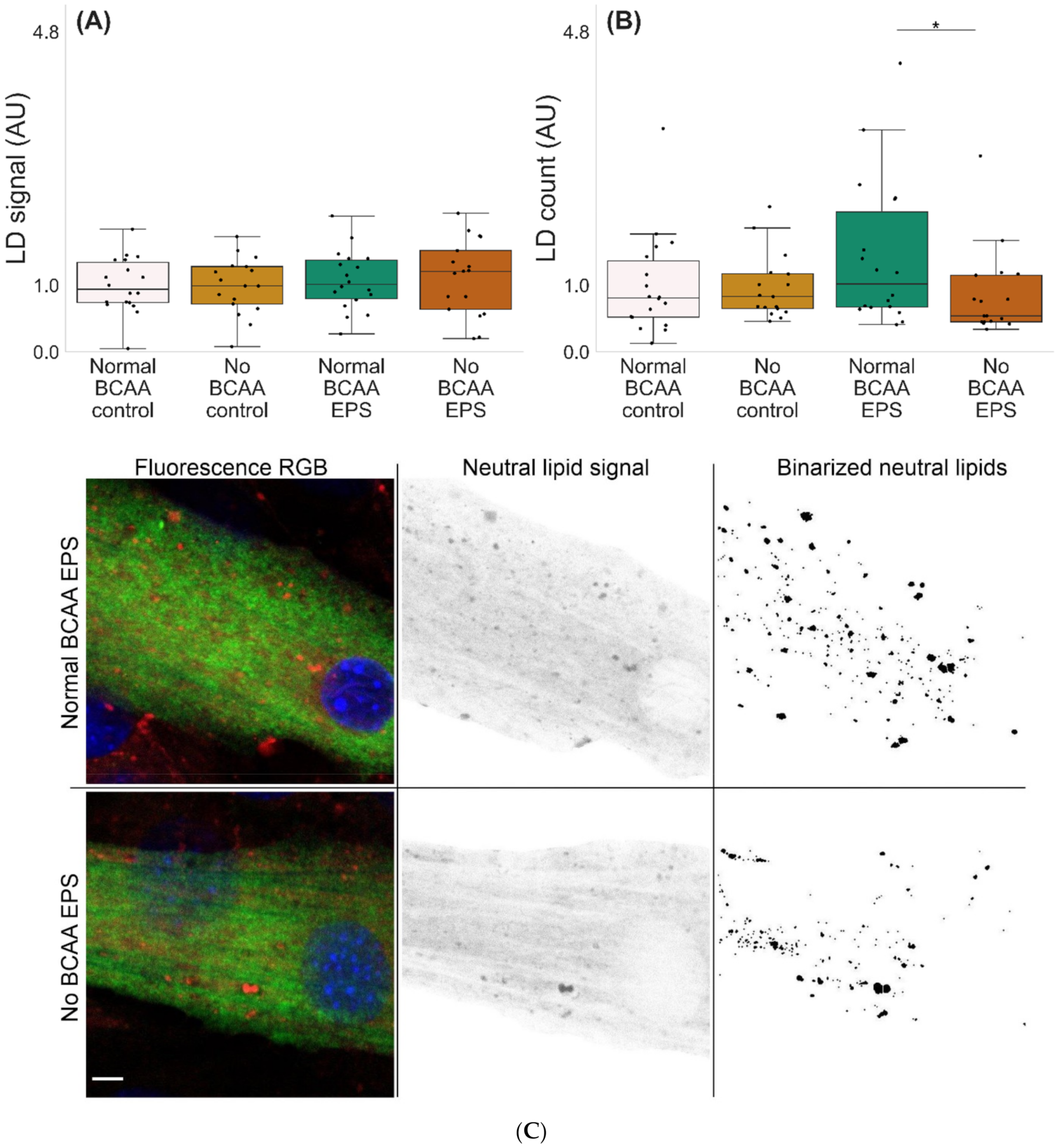 Metabolites 12 00328 g005