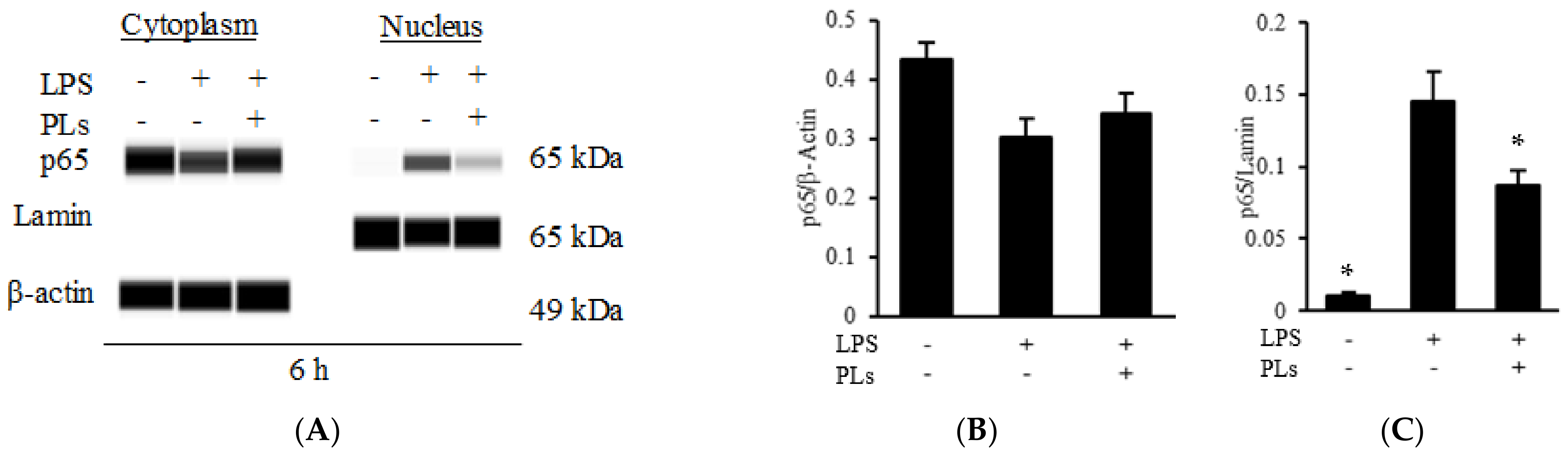 Metabolites 12 00330 g005a Metabolites 12 00330 g005a
