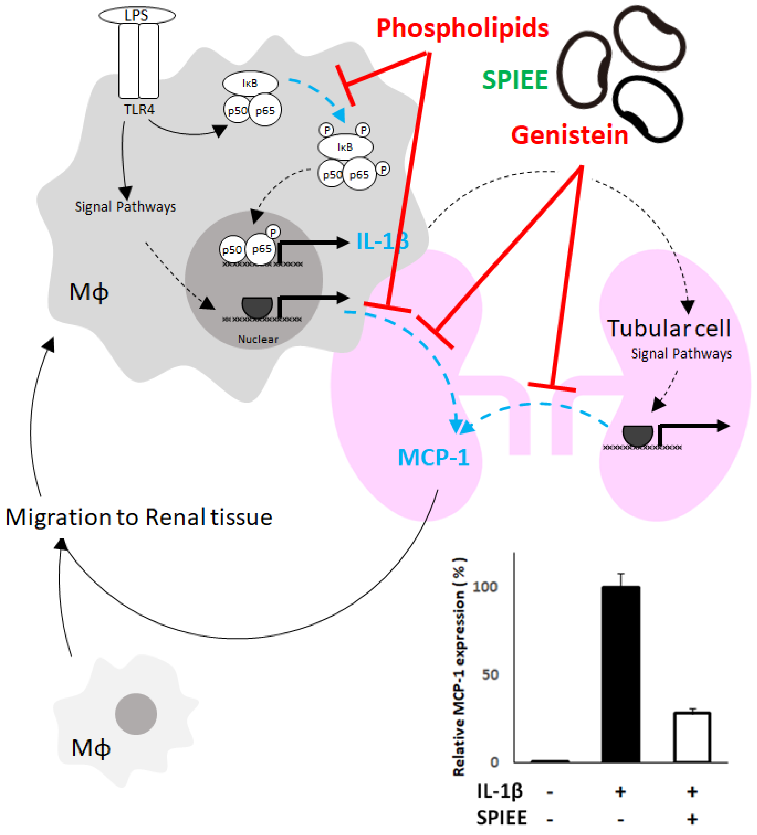 Metabolites 12 00330 g009 Metabolites 12 00330 g009