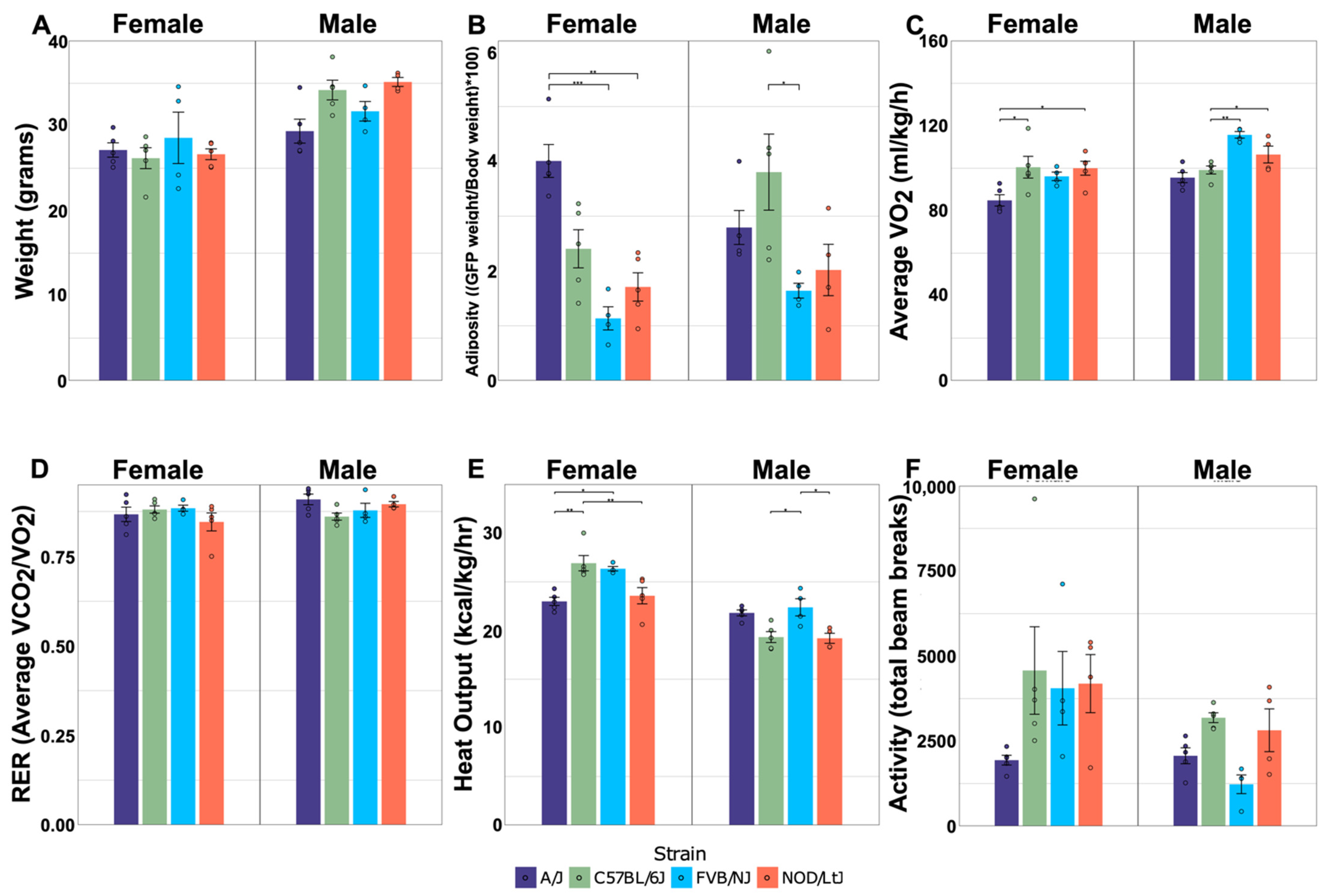 Metabolites 12 00337 g001