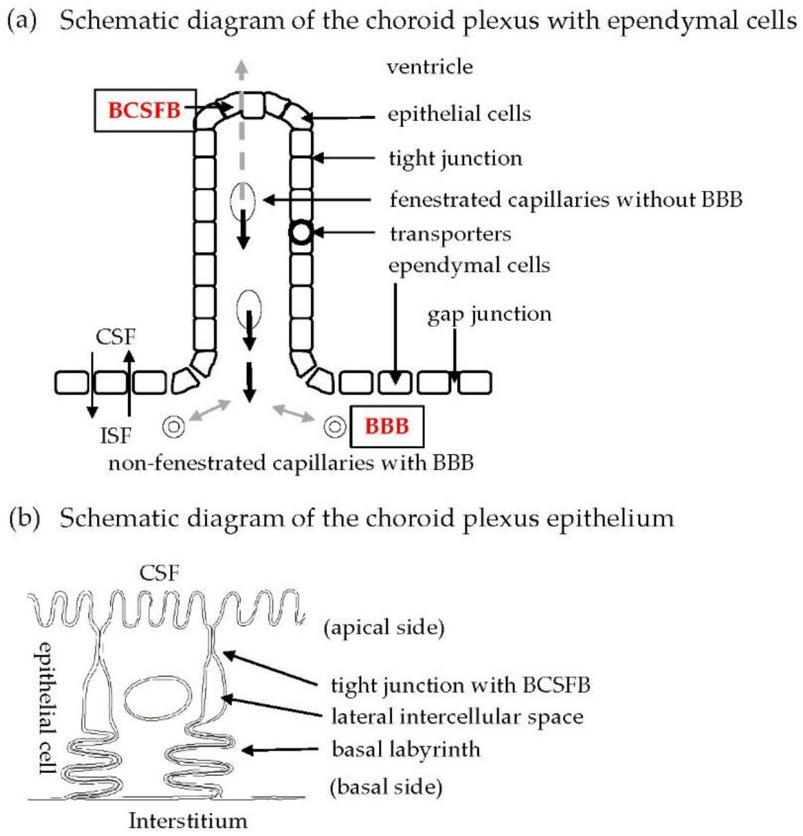 Metabolites 12 00343 g001 550