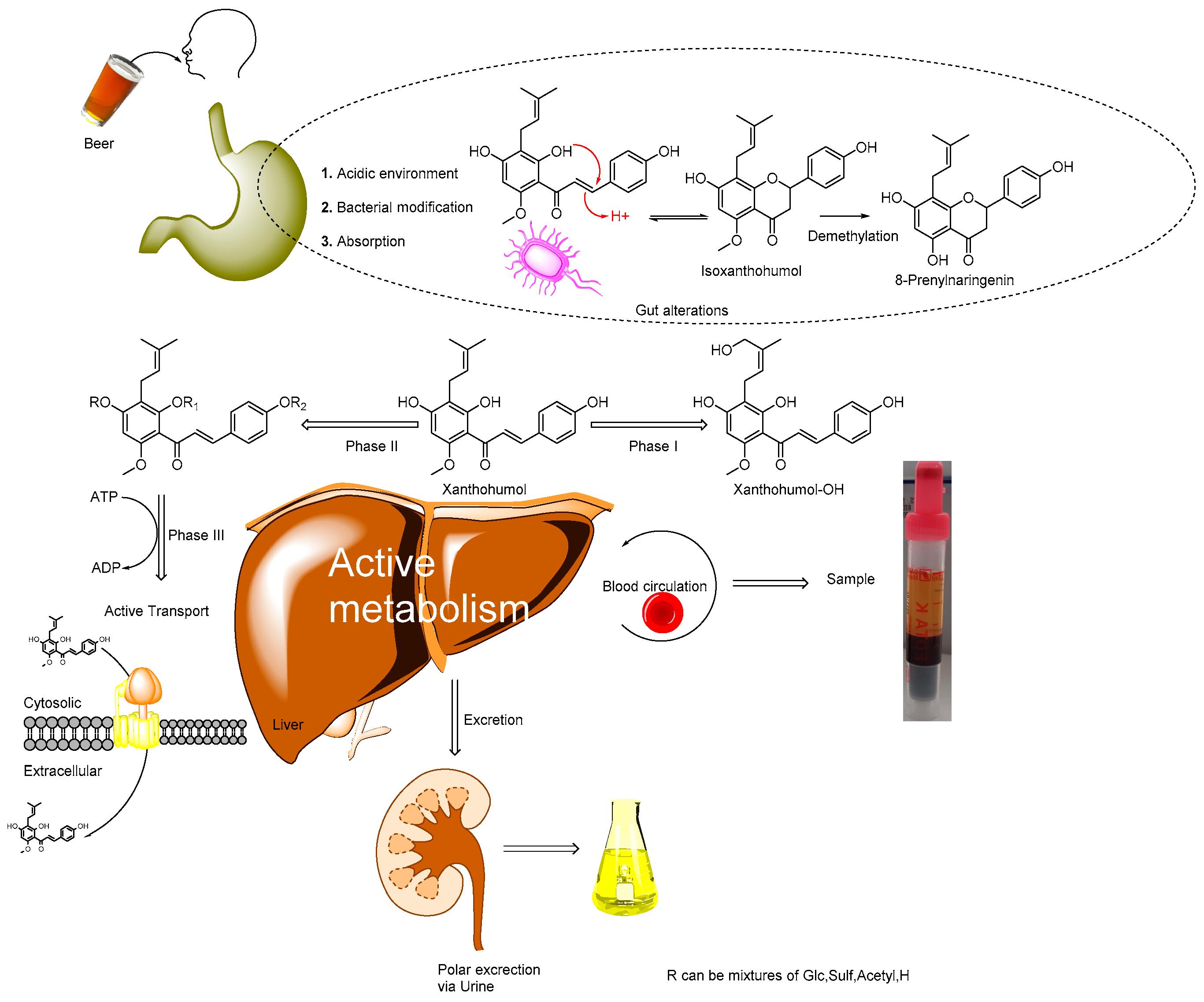 Metabolites 12 00345 g001