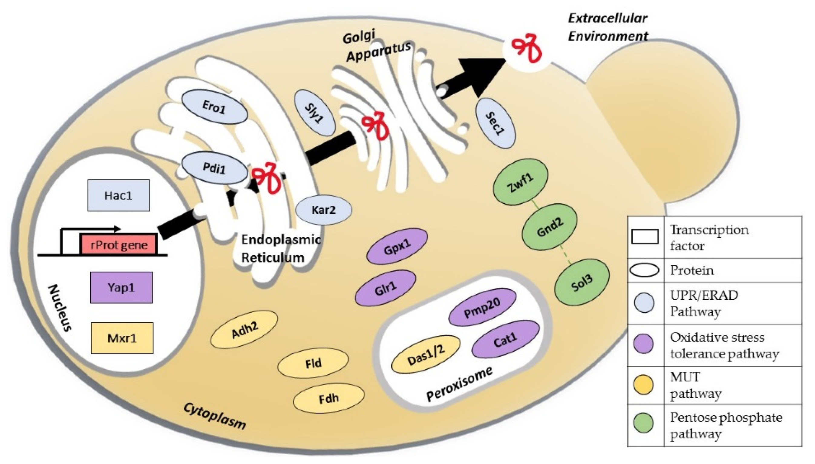 Metabolites 12 00346 g001 Metabolites 12 00346 g001