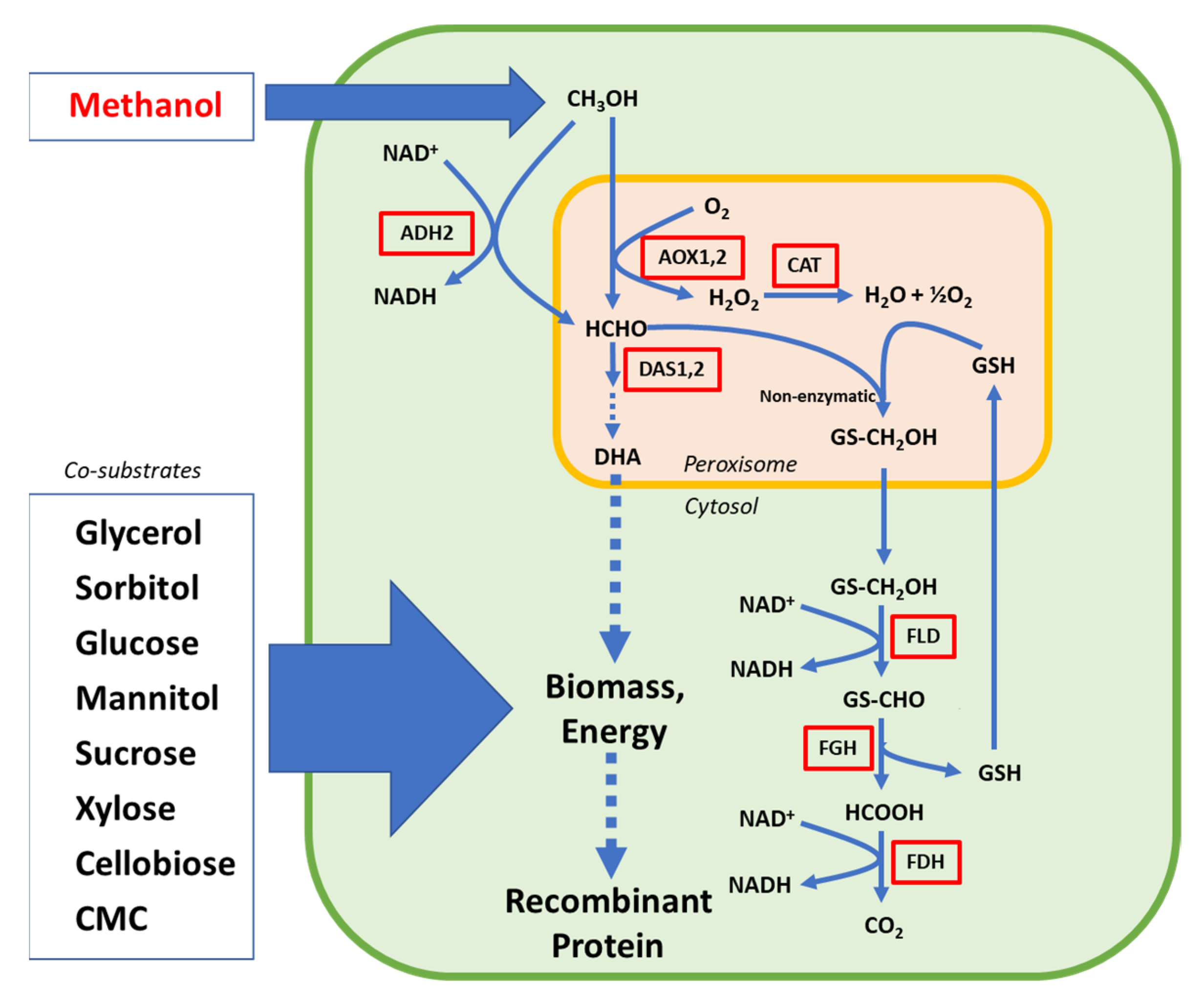 Metabolites 12 00346 g002 Metabolites 12 00346 g002