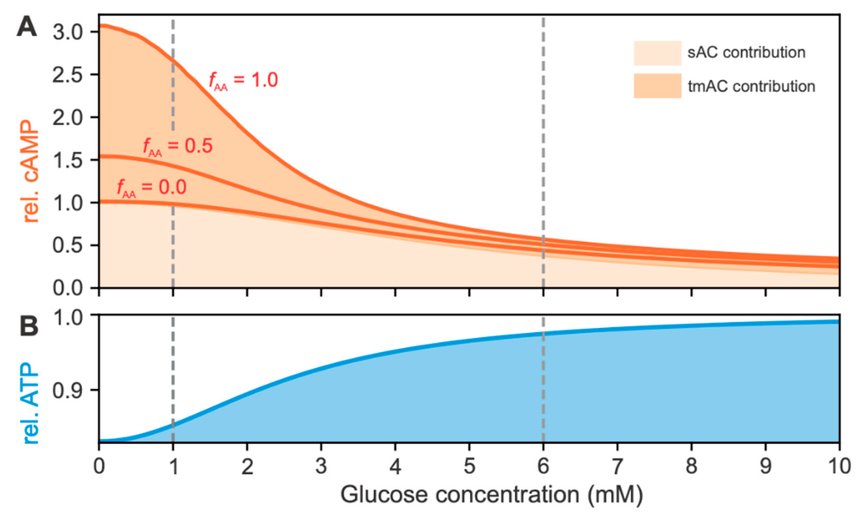 Metabolites 12 00348 g003 550
