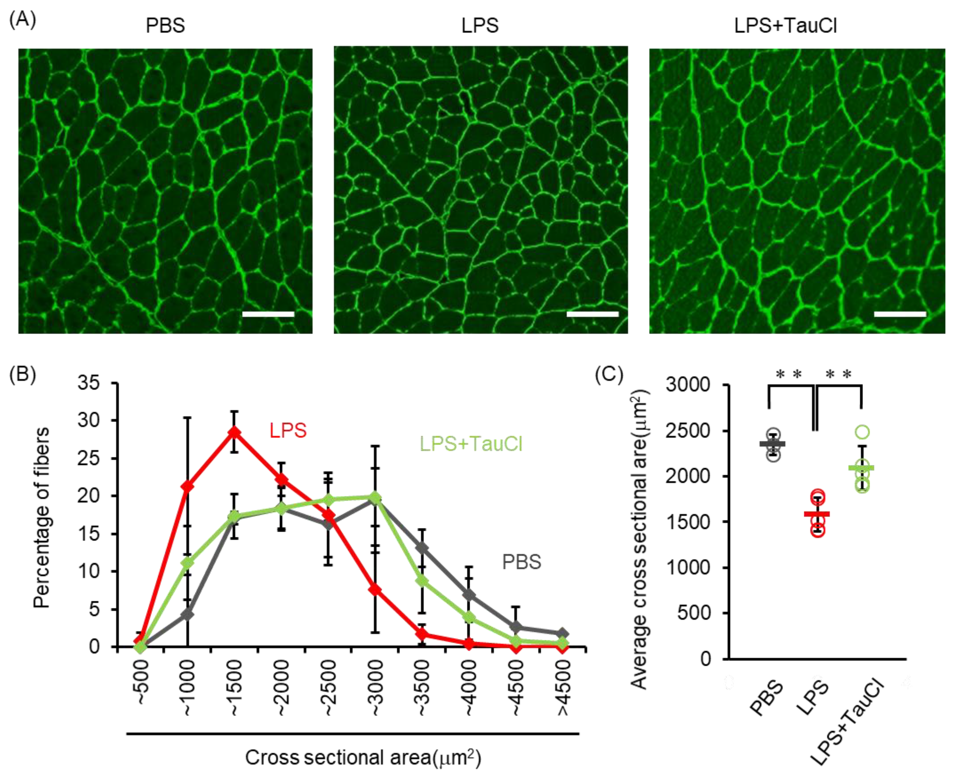 Metabolites 12 00349 g004 550