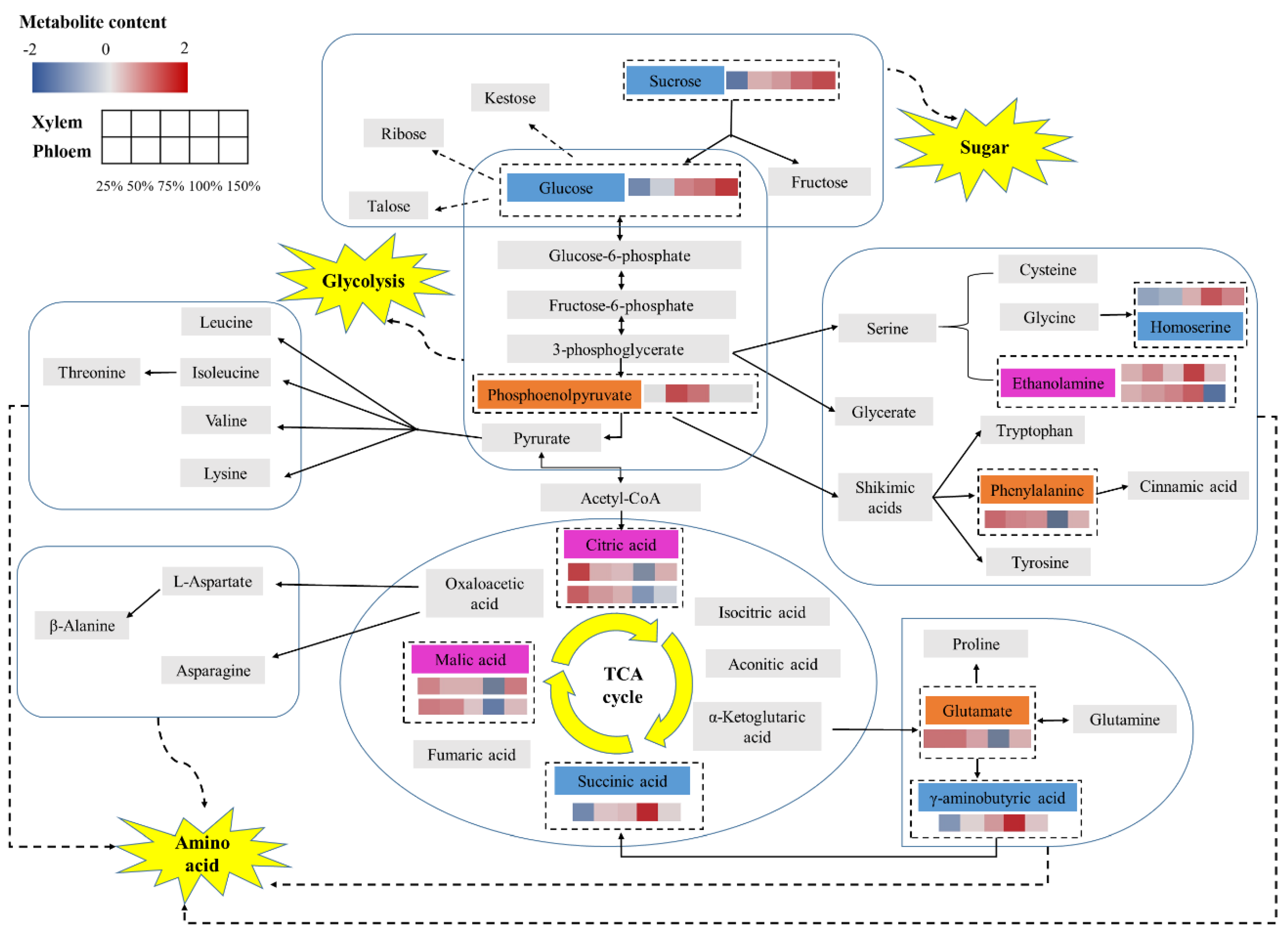 Metabolites 12 00361 g005 550