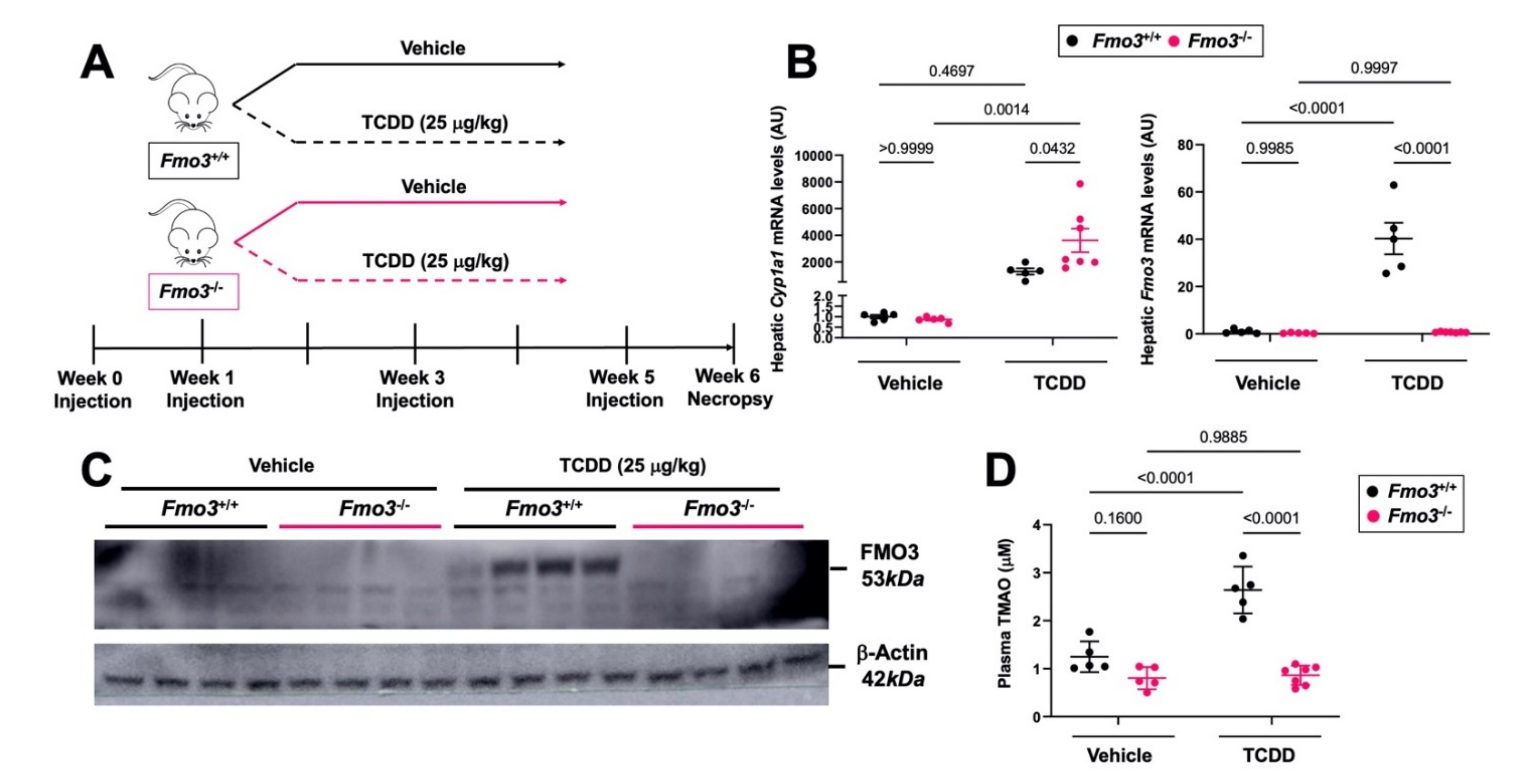 Metabolites 12 00364 g001 Metabolites 12 00364 g001