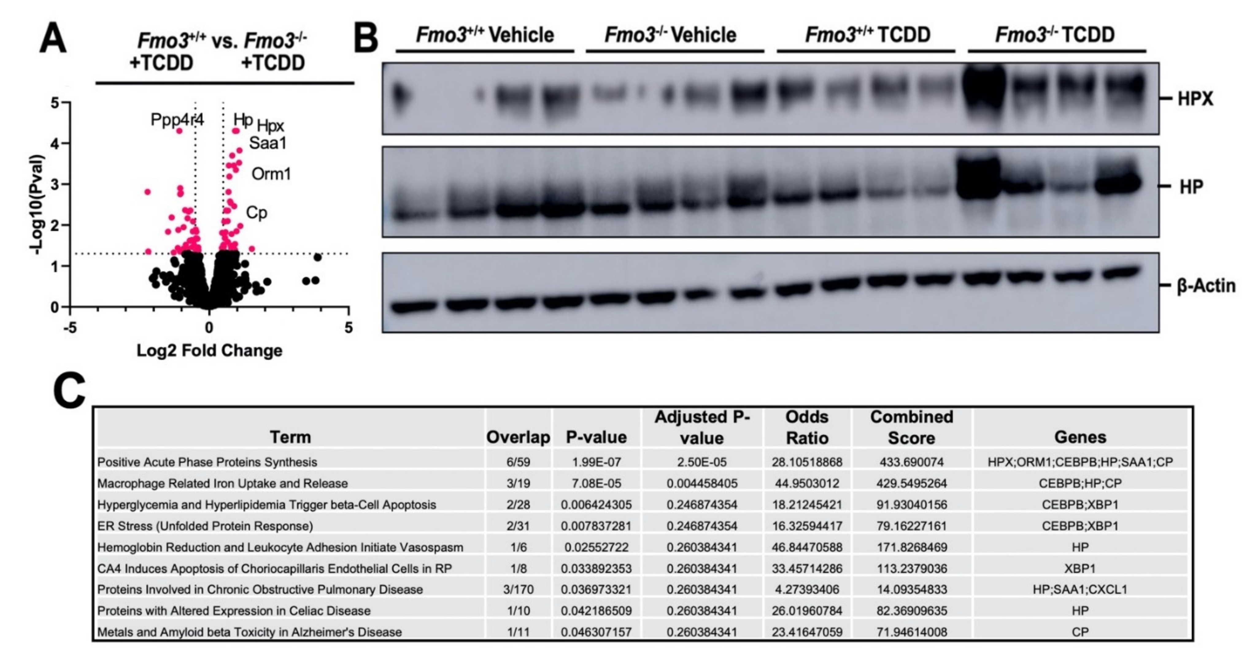 Metabolites 12 00364 g003 Metabolites 12 00364 g003